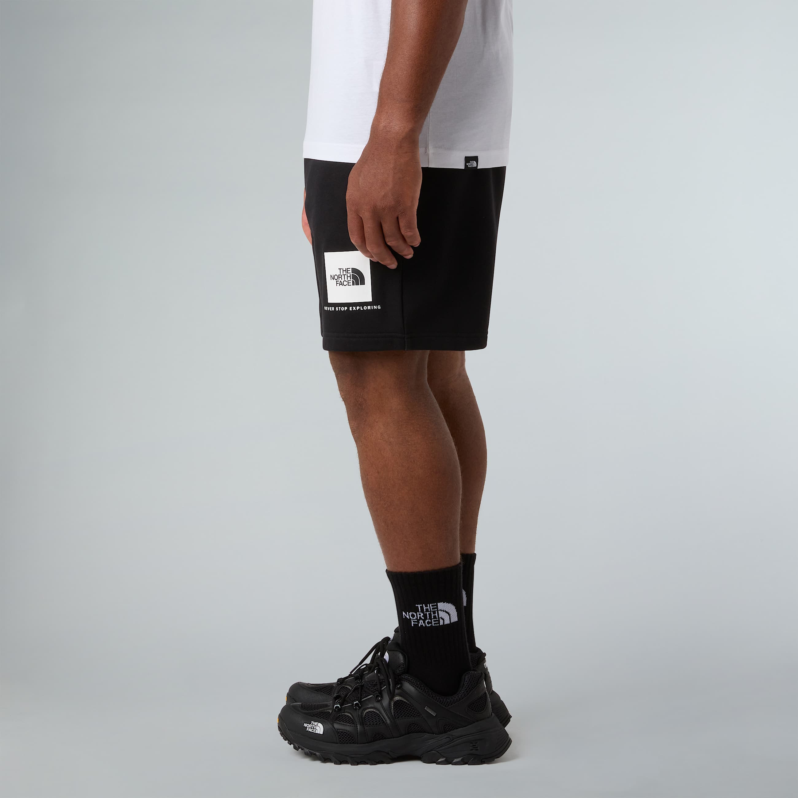 NSE Box Regular Shorts M TNF ALT2