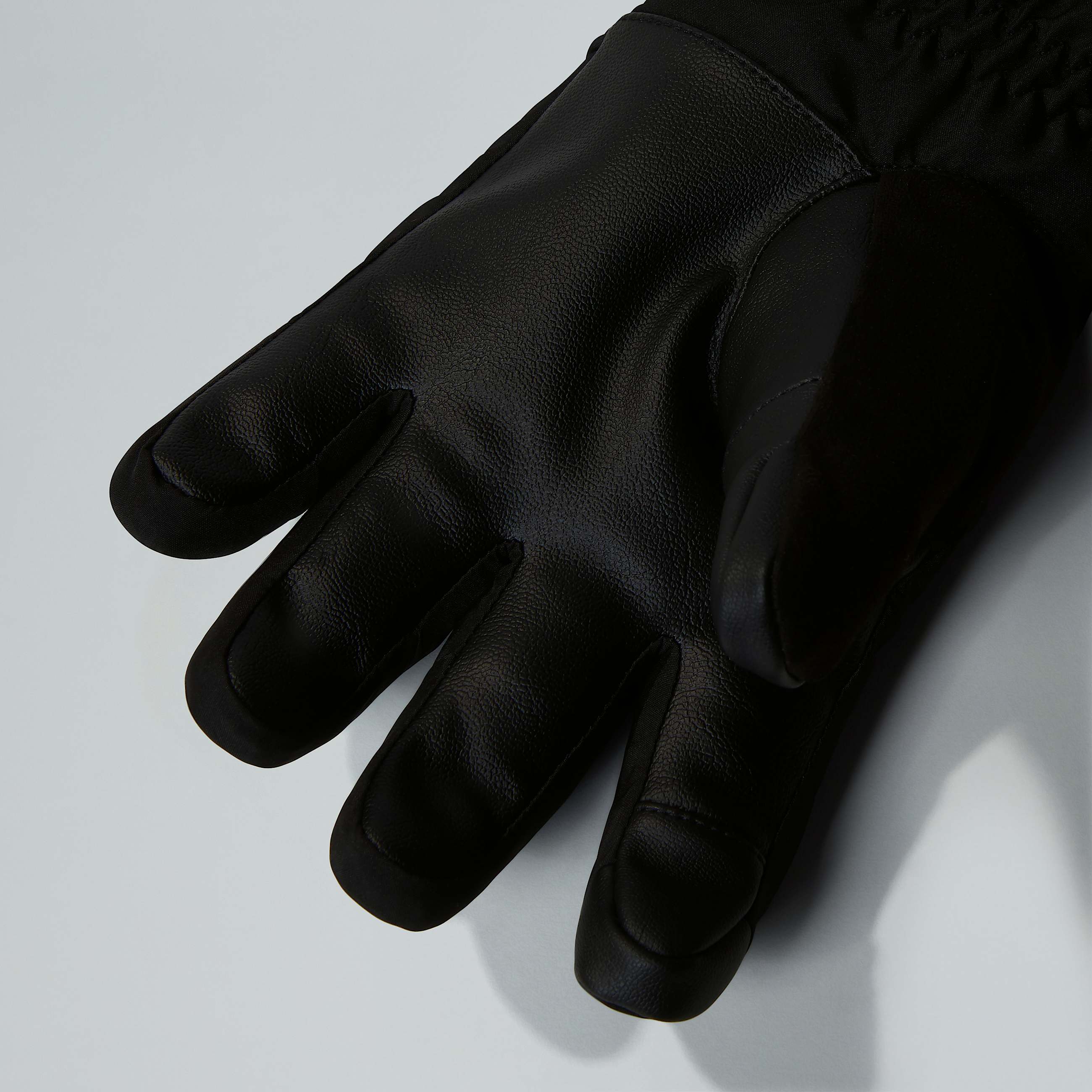 Montana Ski Gloves W TNF ALT2