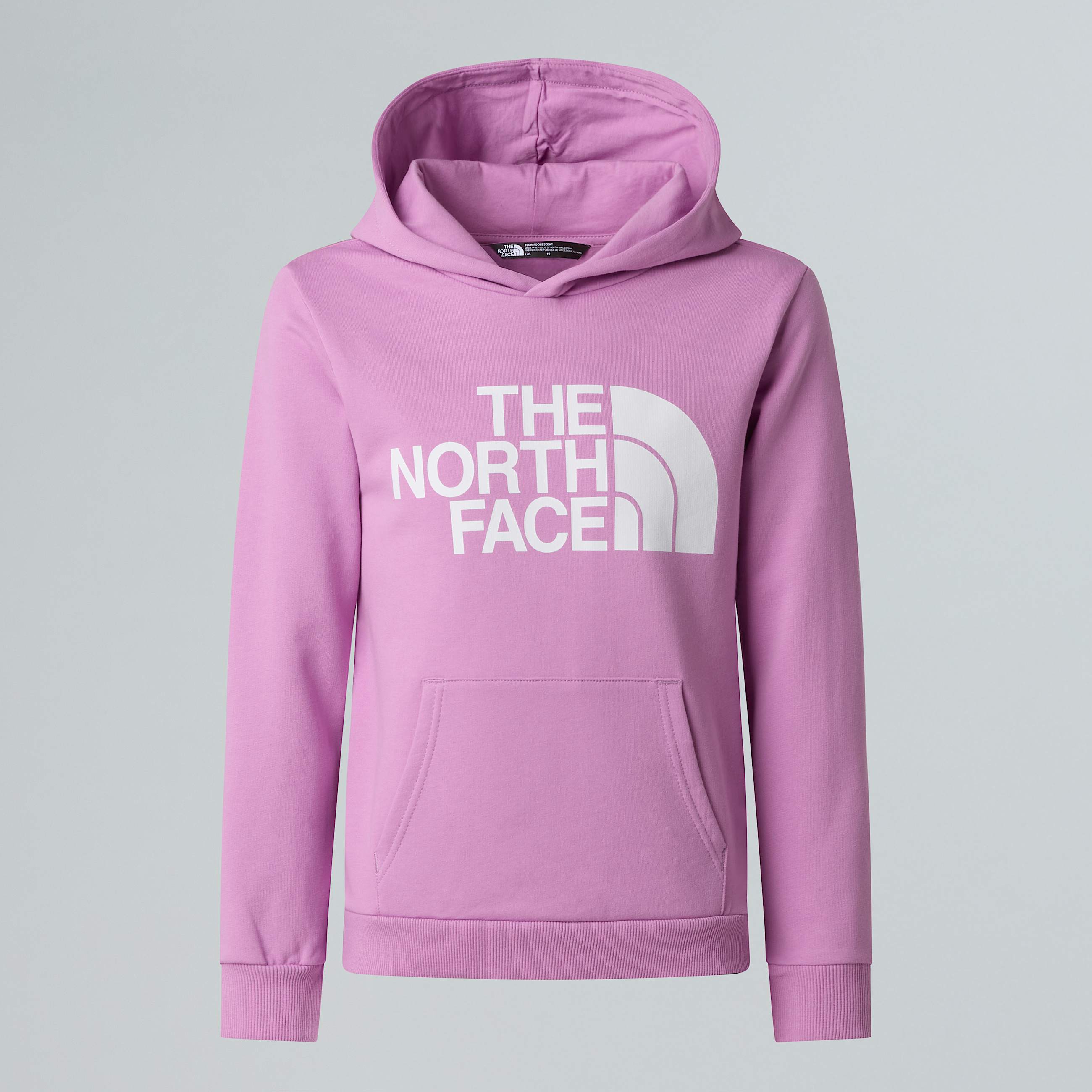 Felpa con cappuccio Peak da ragazzi New TNF HERO
