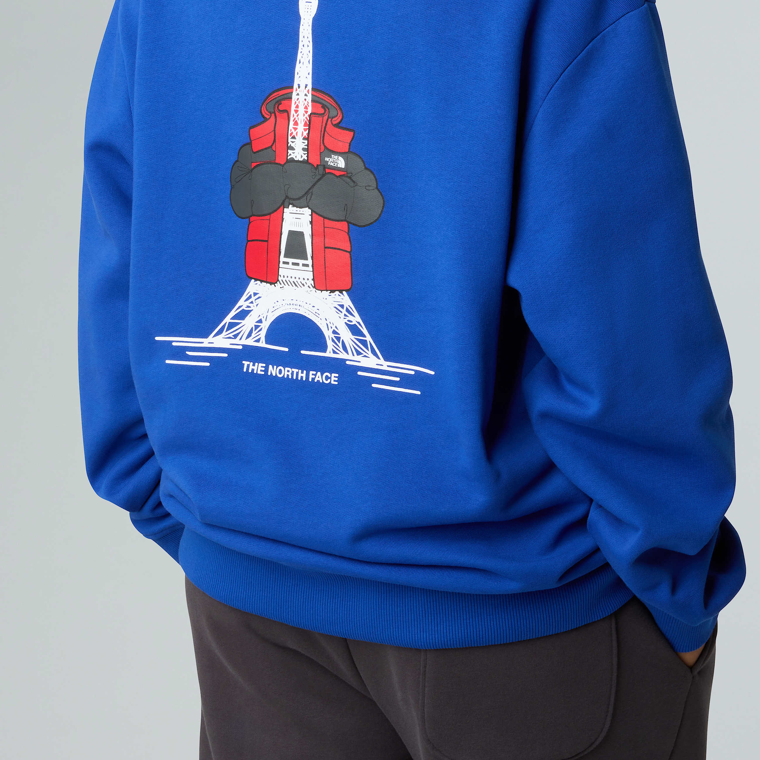 Felpa con cappuccio France Relaxed unisex TNF ALT12