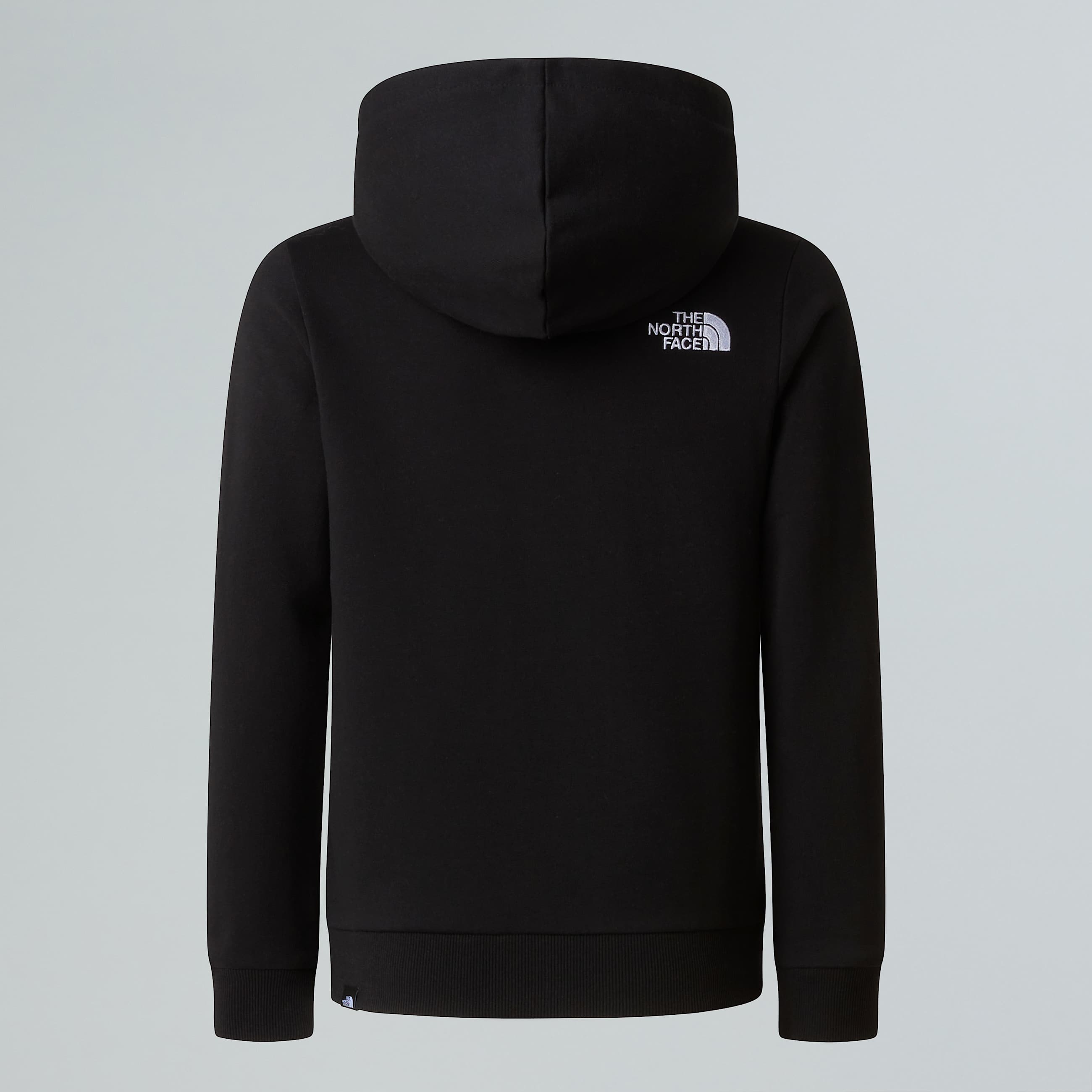 Felpa con cappuccio da ragazzi TNF ALT21