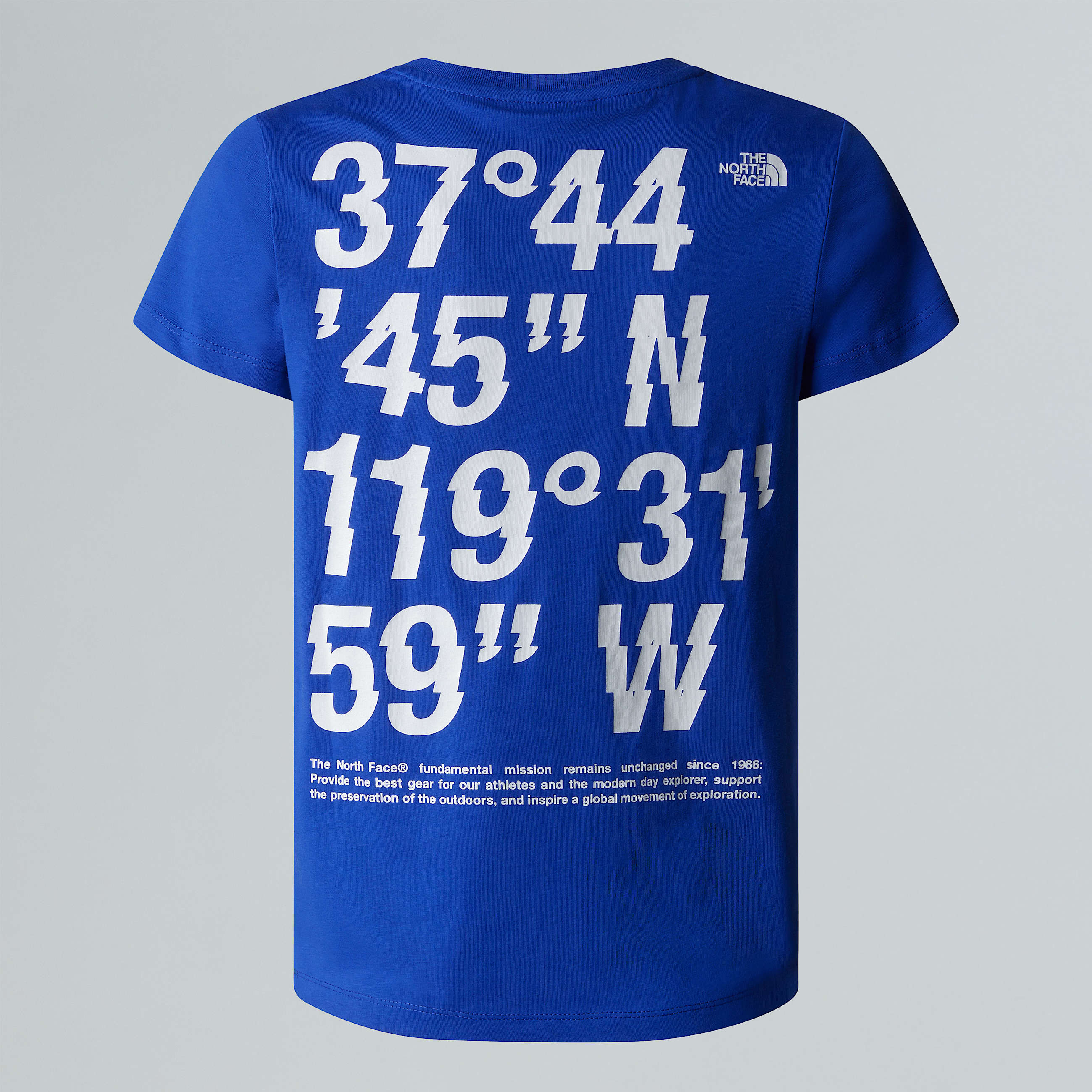 Tshirt Coordinates con grafica da ragazzo TNF ALT21