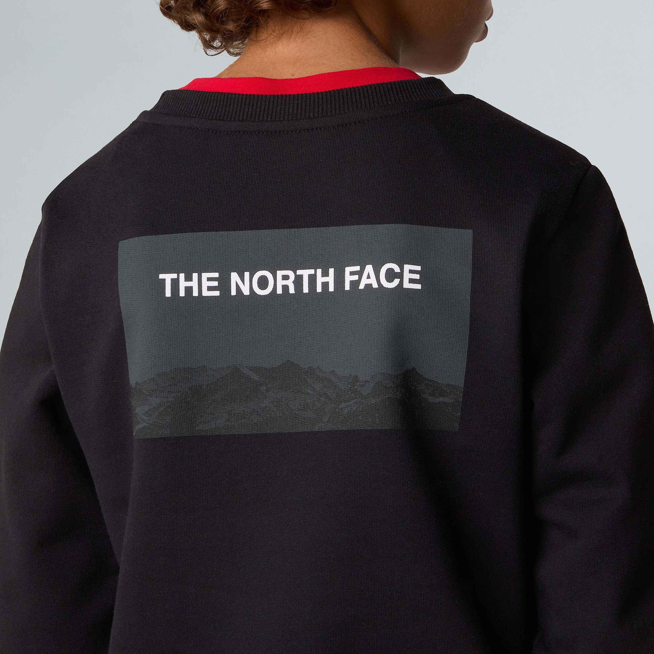 Crew Neck Sweatshirt Junior TNF ALT3