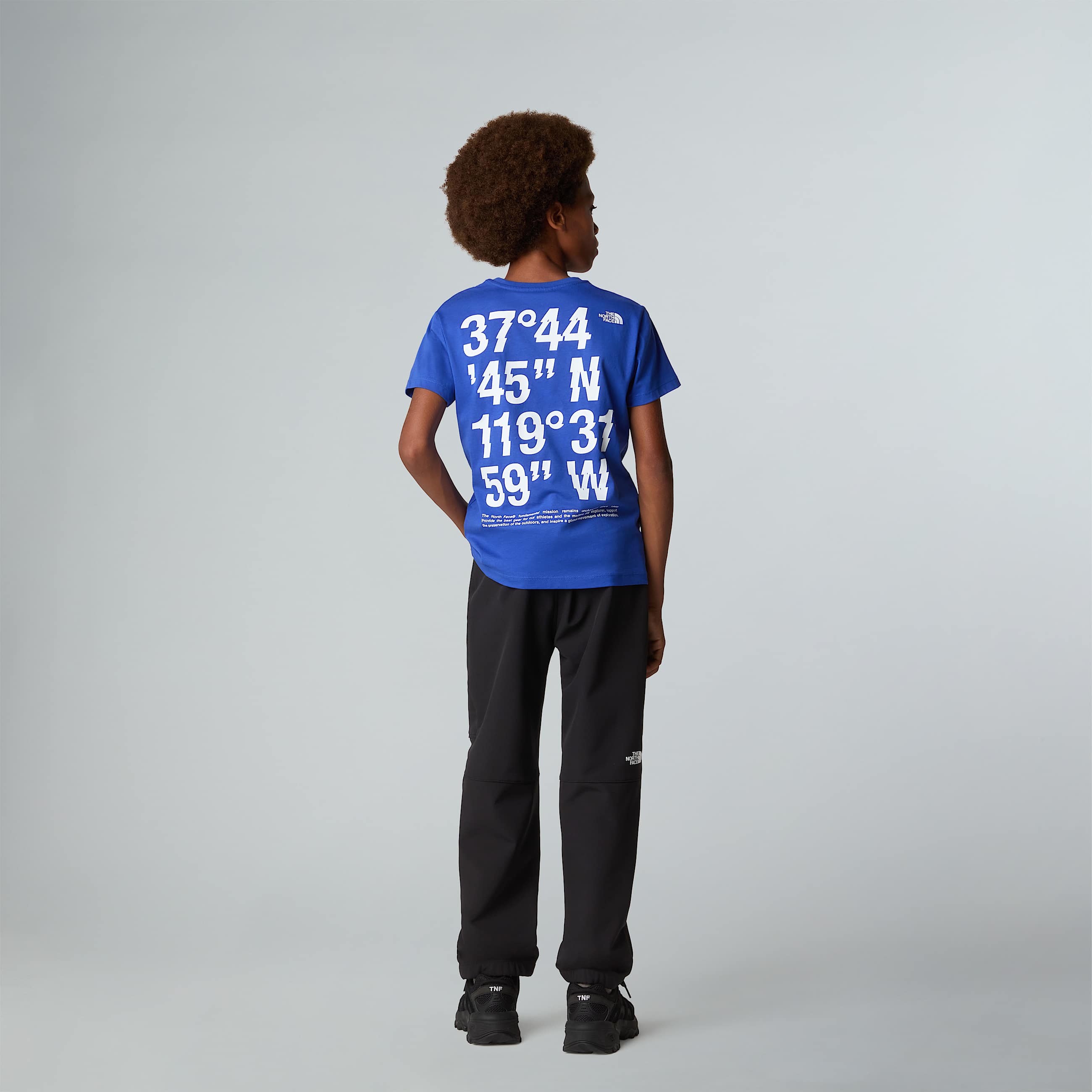 Tshirt Coordinates con grafica da ragazzo TNF ALT2