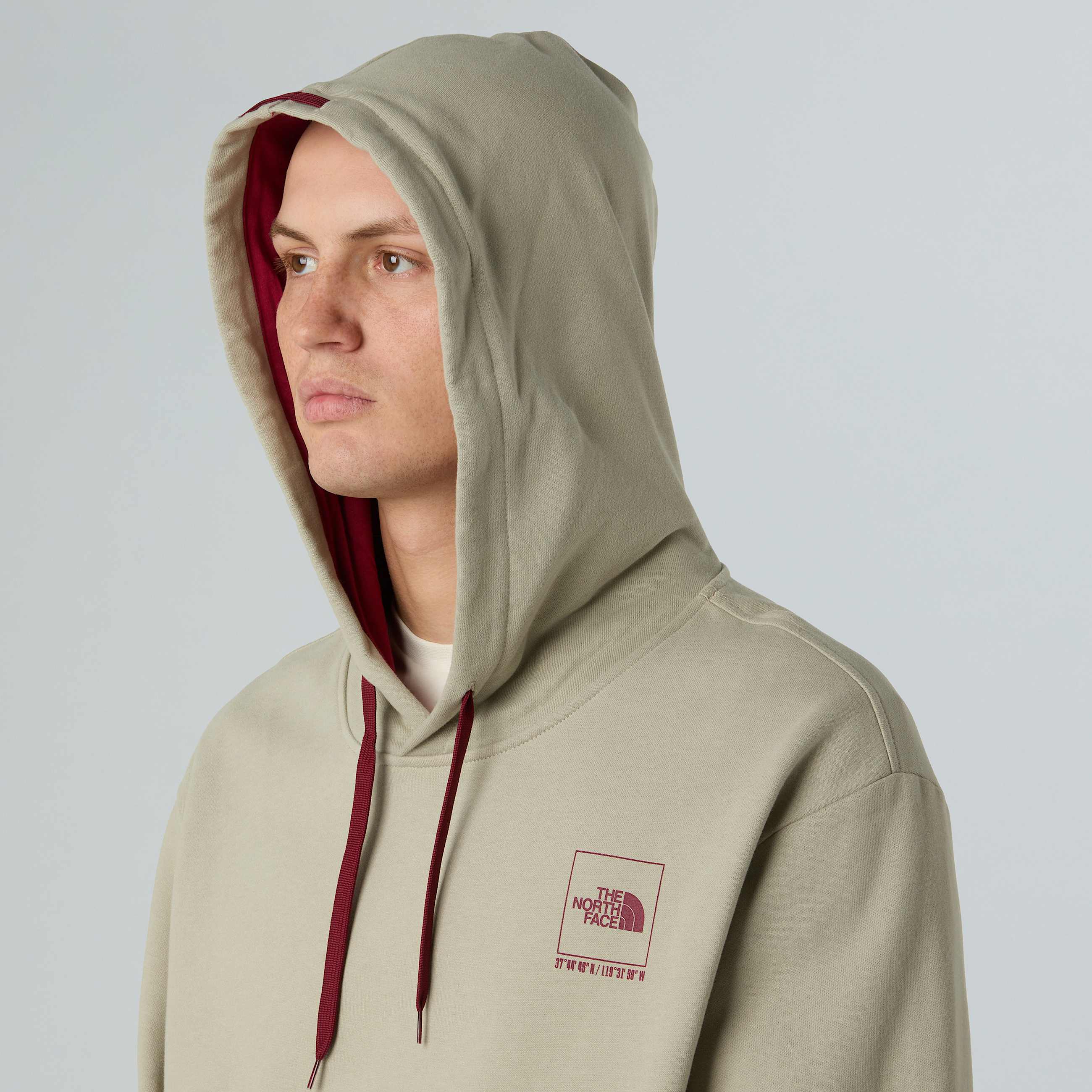 Felpa con cappuccio Coordinates da uomo TNF ALT3