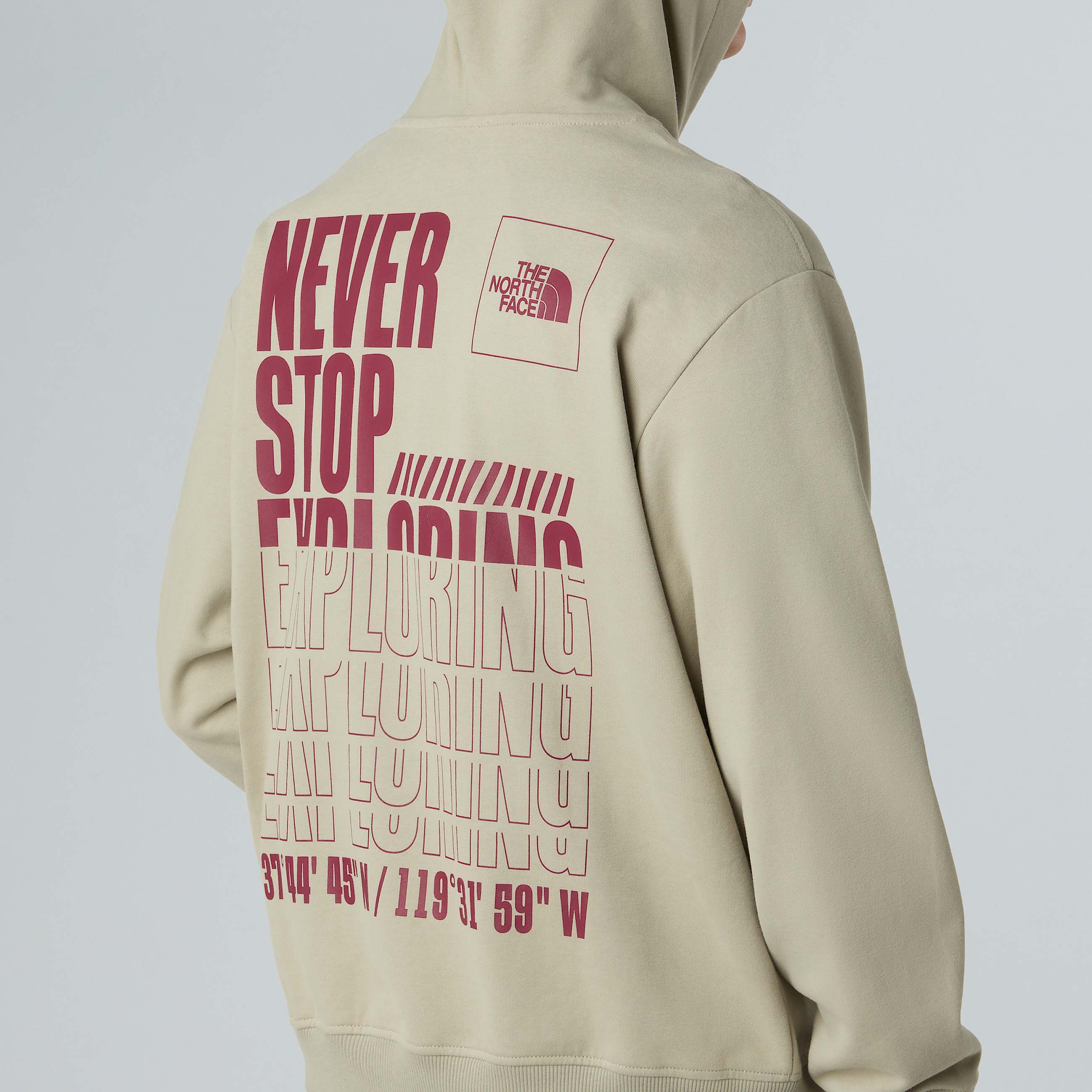 Felpa con cappuccio Coordinates da uomo TNF ALT4