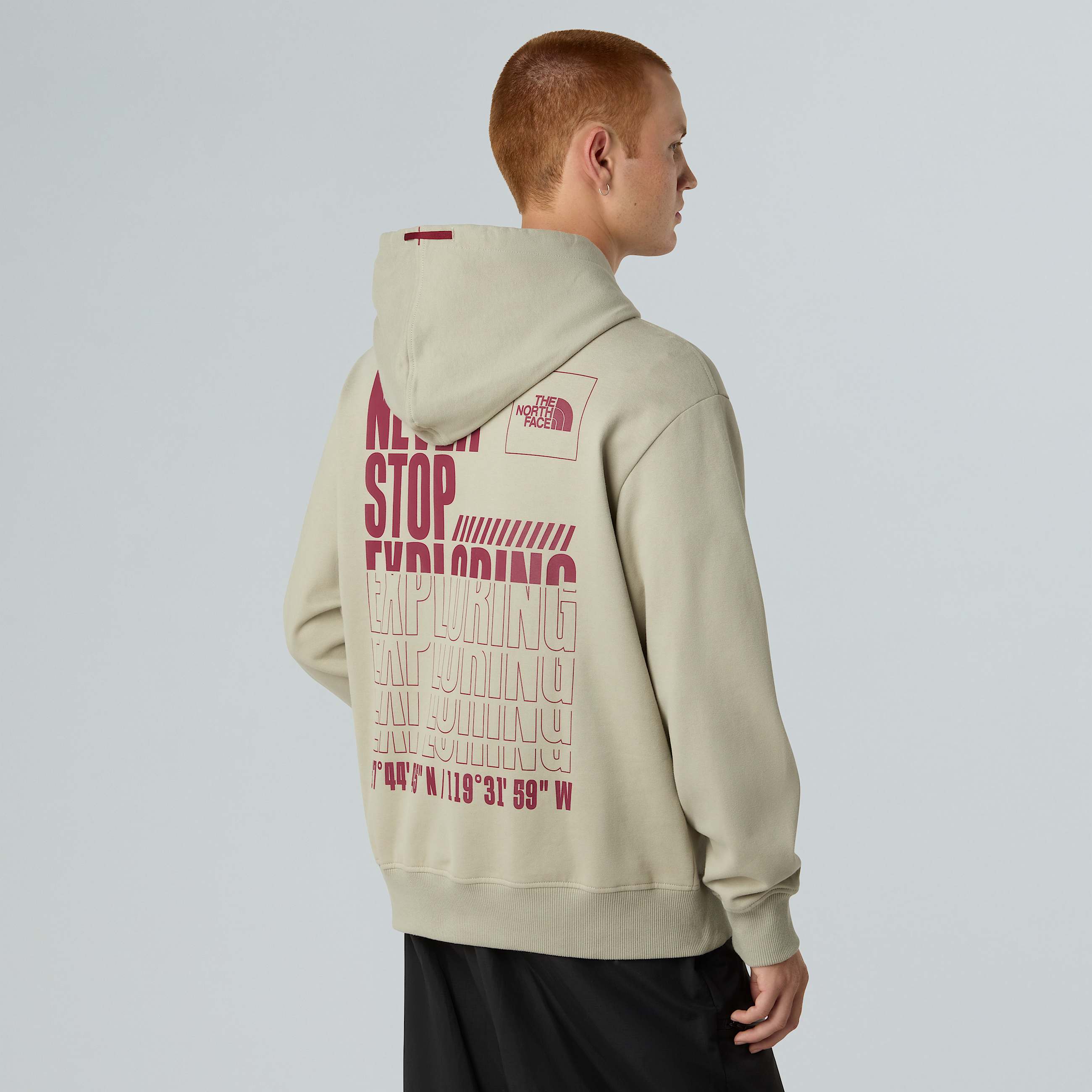 Felpa con cappuccio Coordinates da uomo TNF HERO