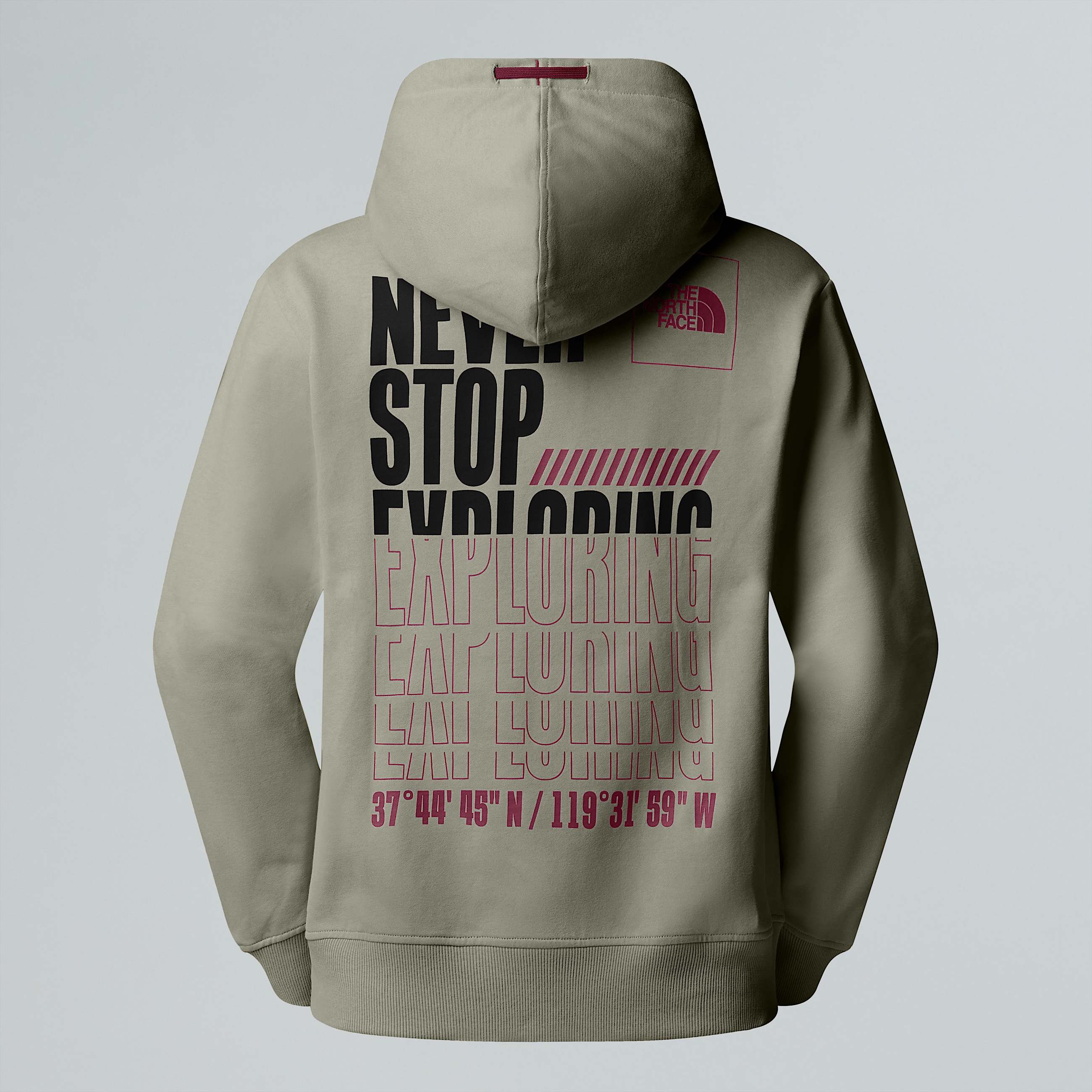 Felpa con cappuccio Coordinates da uomo TNF ALT21