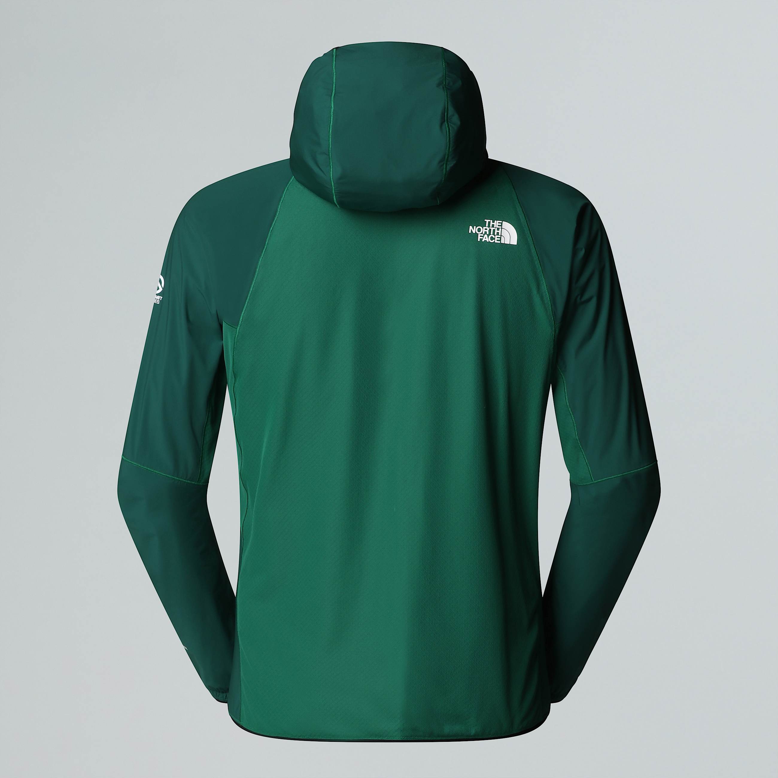Giacca con cappuccio Summit FUTUREFLEECE AMK da uomo TNF ALT21