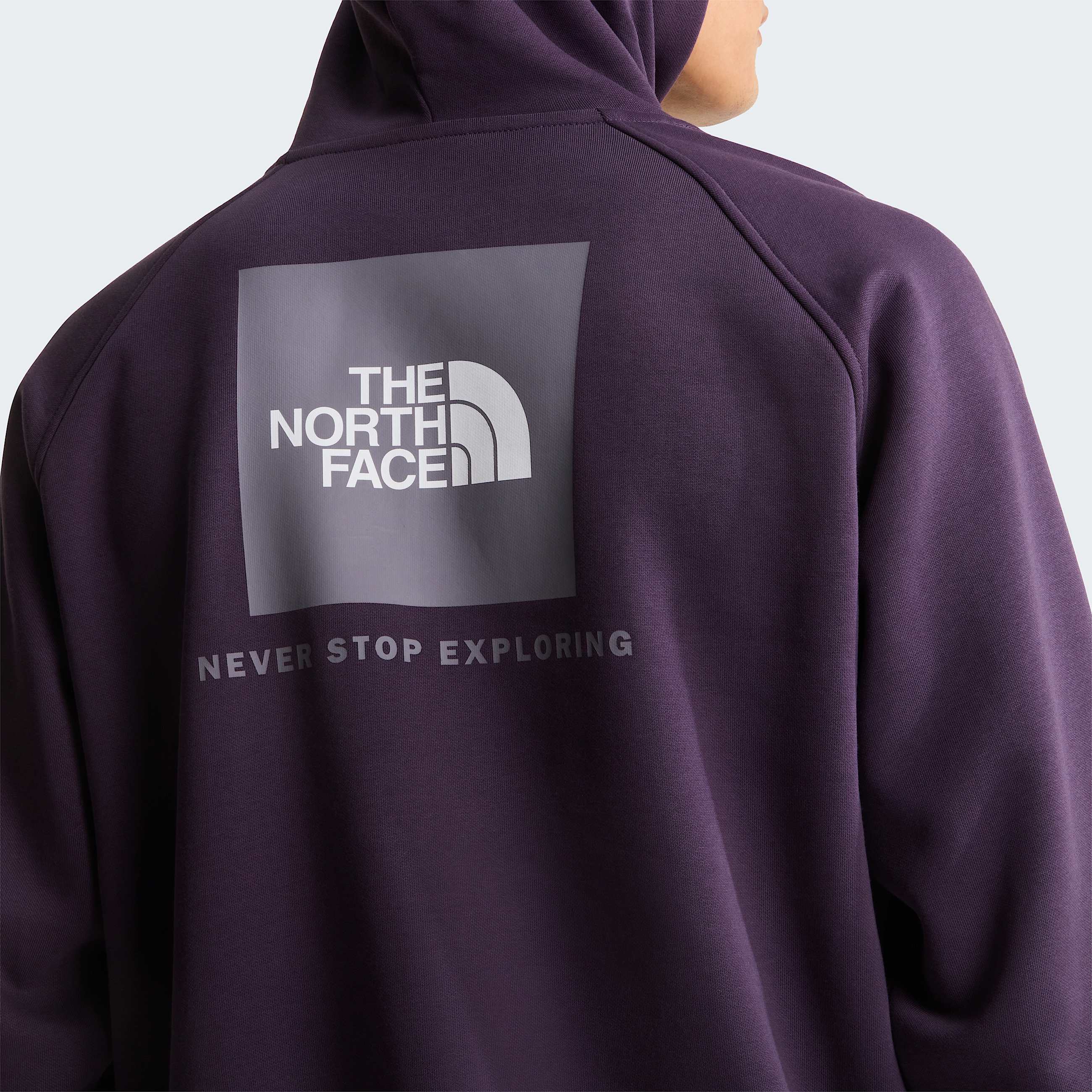 Felpa con cappuccio e maniche raglan NSE Box da uomo TNF Endless Dusk ALT5