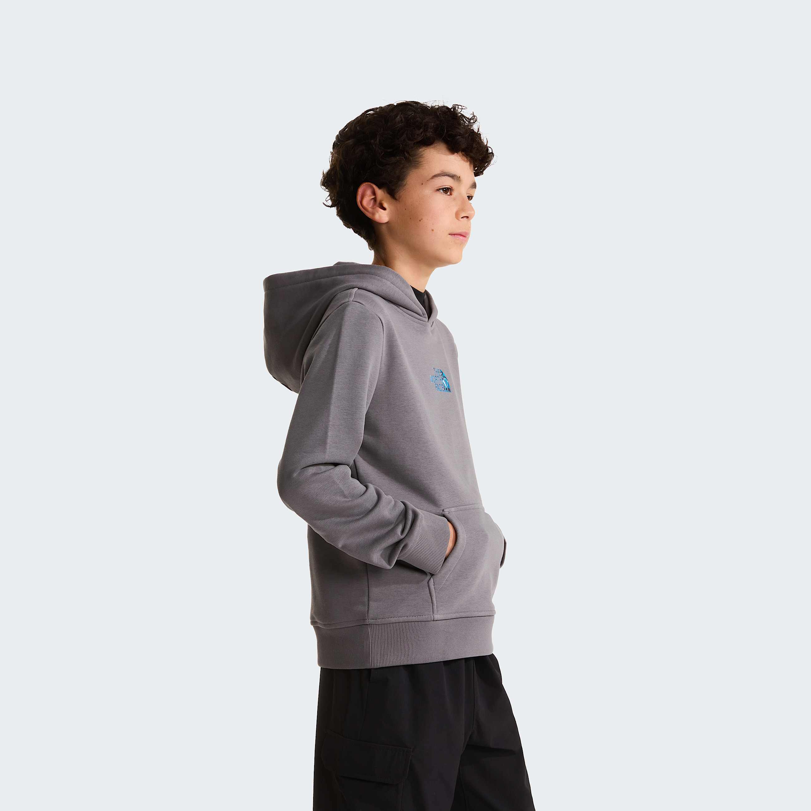 Liquid Logo Regular Hoodie Boy TNF ALT2