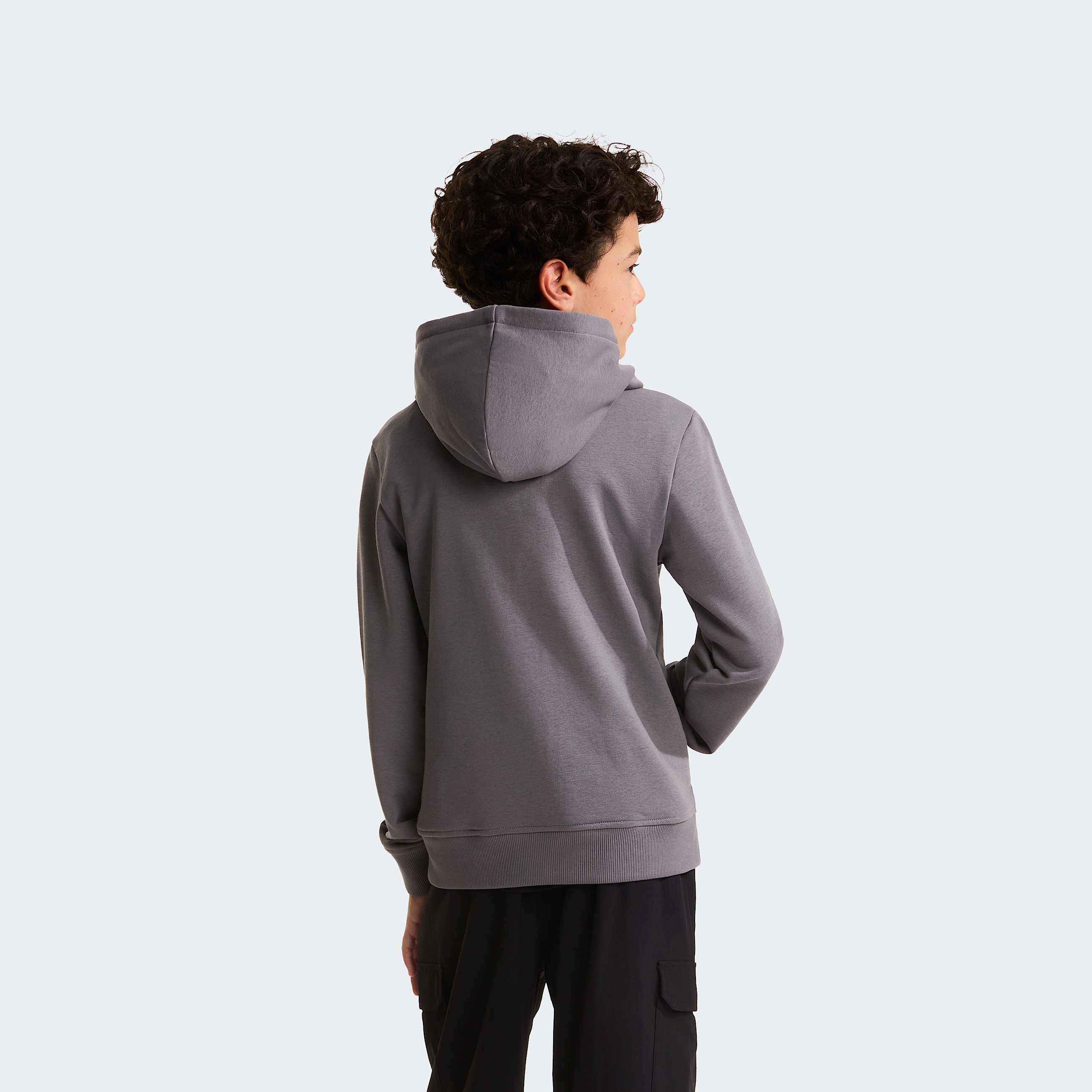 Felpa con cappuccio Liquid Logo Regular da ragazzo TNF ALT3