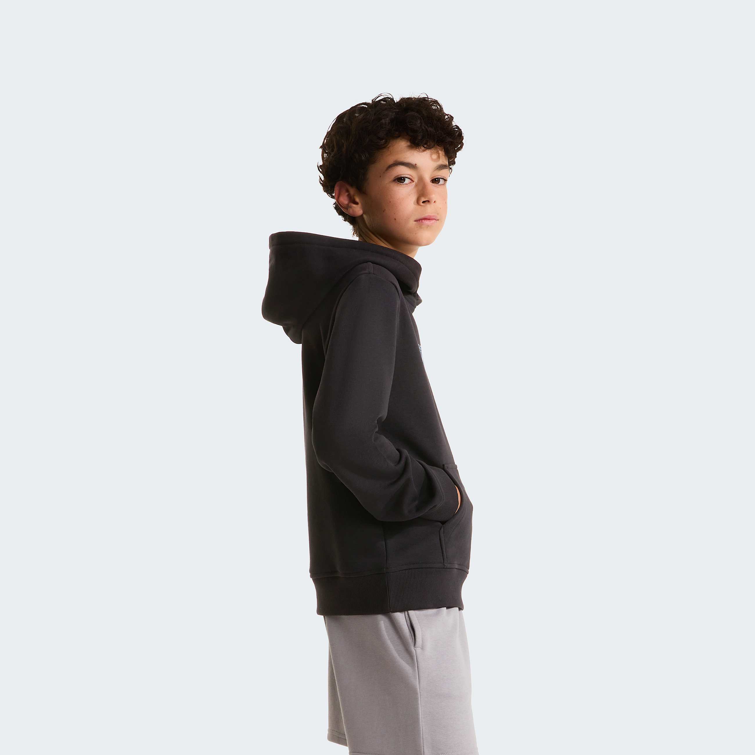 Mikina s kapuc Liquid Logo Regular pro kluky TNF TNF Black ALT2