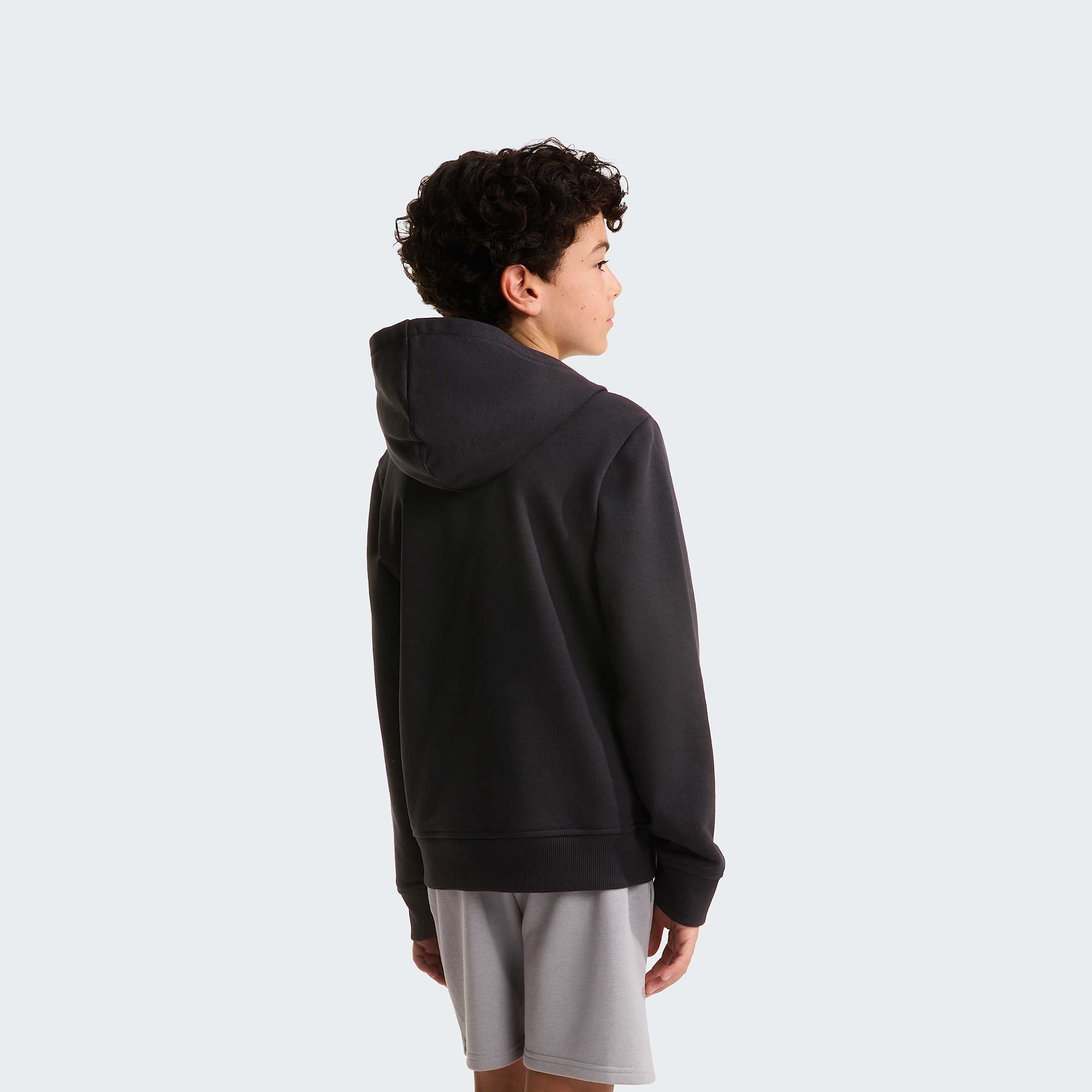 Mikina s kapuc Liquid Logo Regular pro kluky TNF TNF Black ALT3