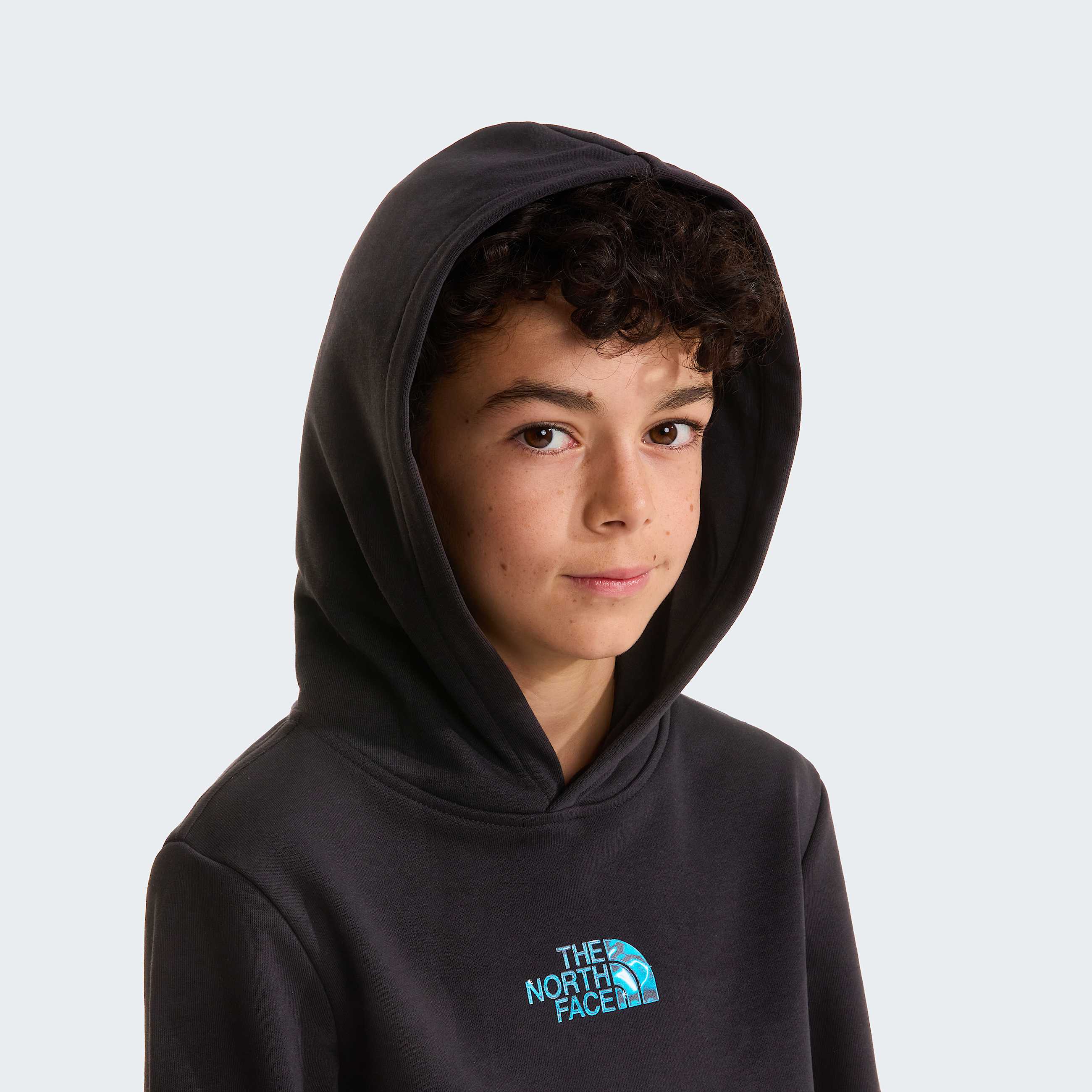 Mikina s kapuc Liquid Logo Regular pro kluky TNF TNF Black ALT4