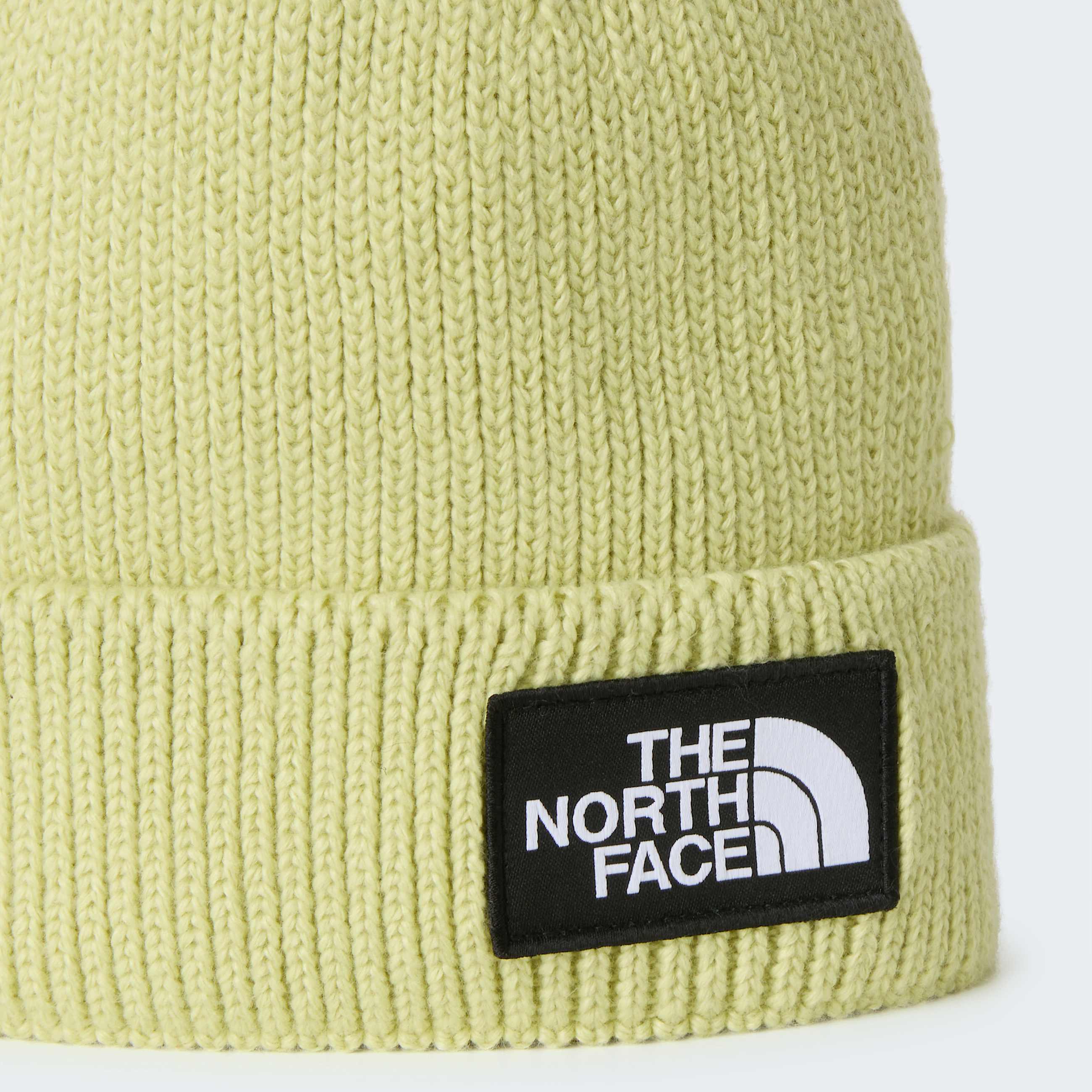 Berretto con risvolto e logo box TNF TNF Pear ALT2