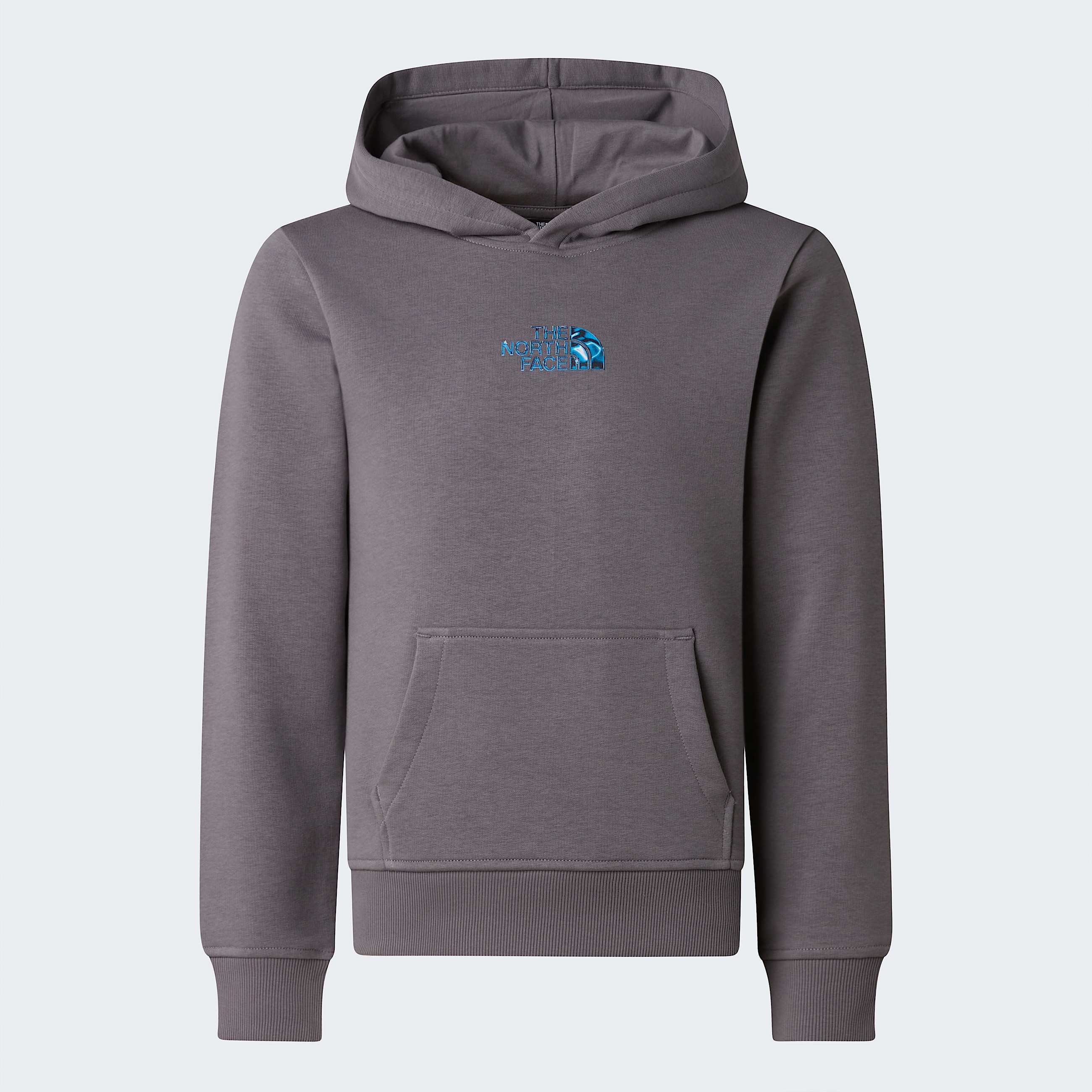 Liquid Logo Regular Hoodie Boy TNF ALT20