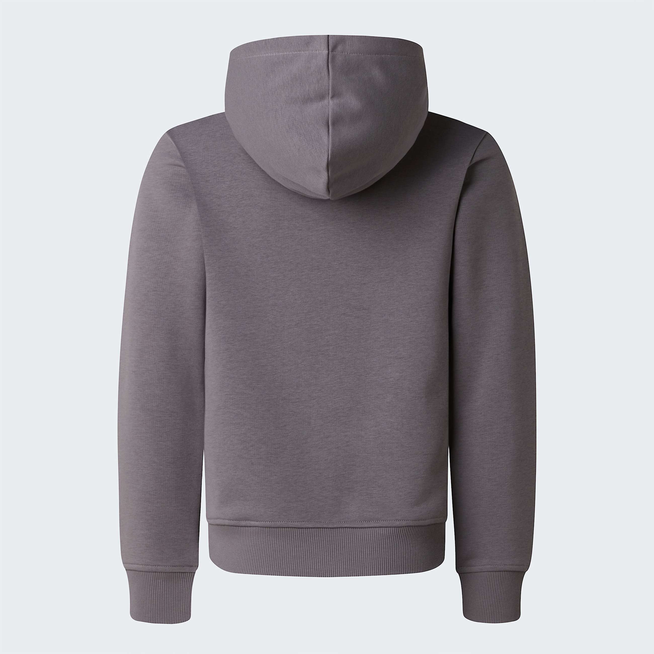 Liquid Logo Regular Hoodie Boy TNF ALT21