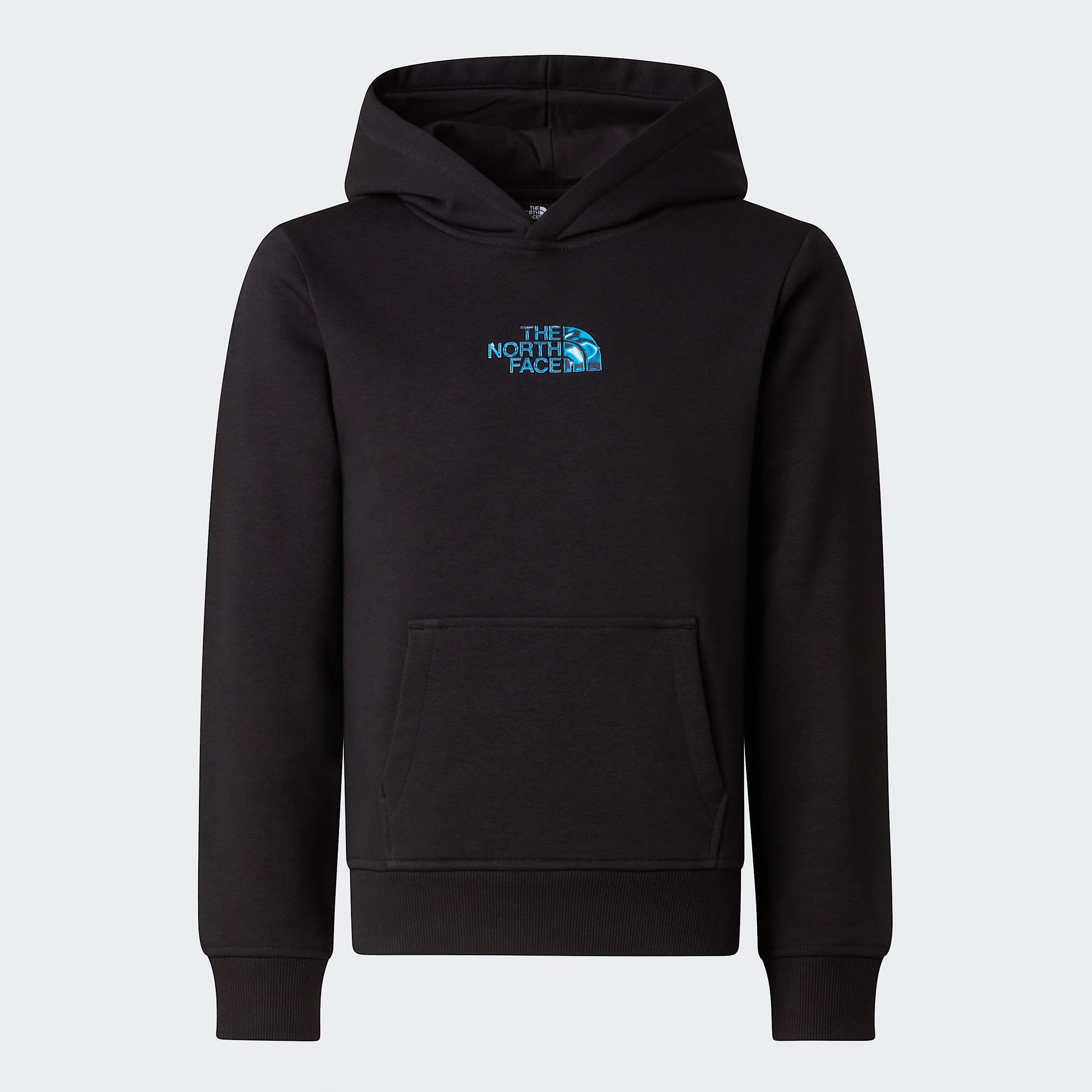 Mikina s kapuc Liquid Logo Regular pro kluky TNF TNF Black ALT20