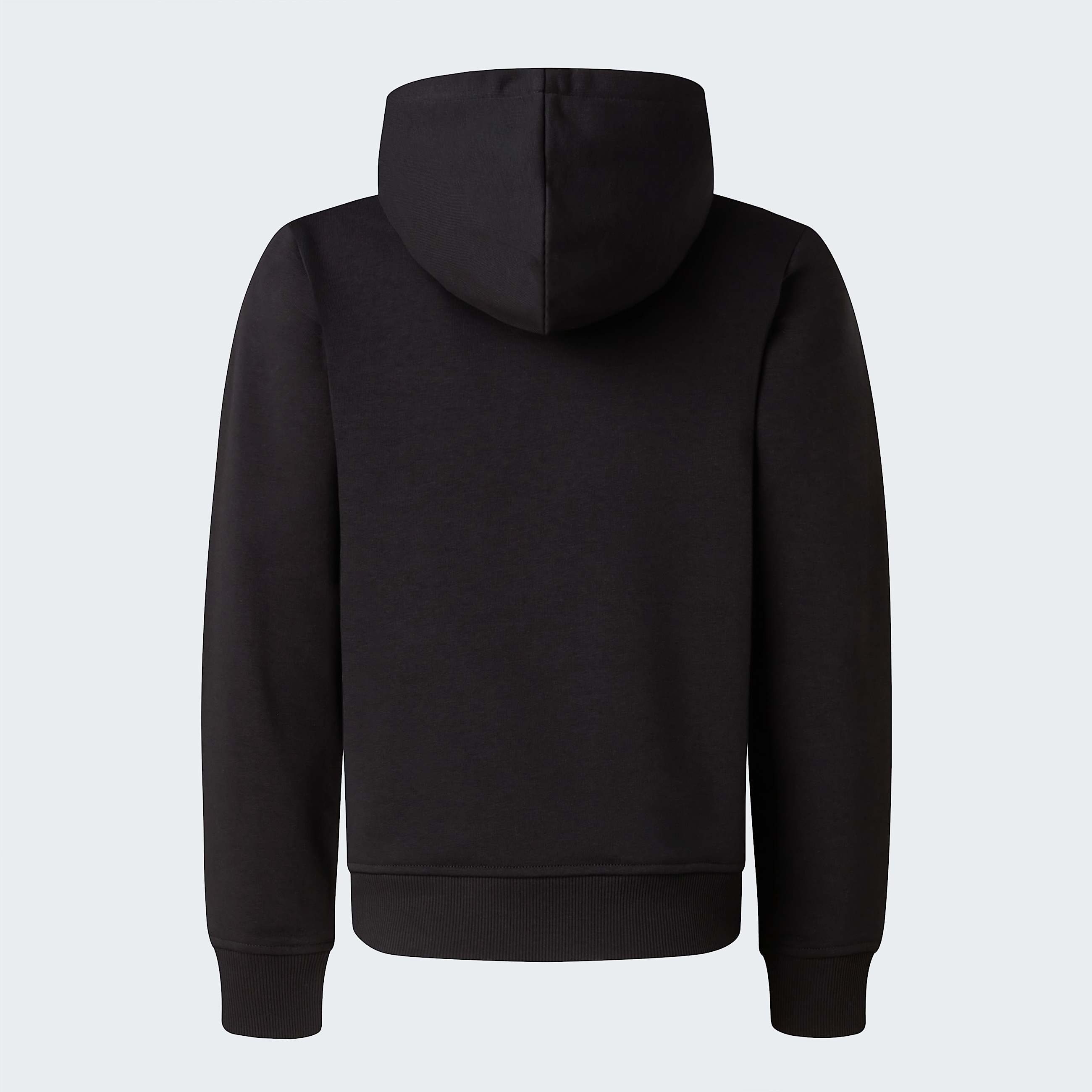Mikina s kapuc Liquid Logo Regular pro kluky TNF TNF Black ALT21