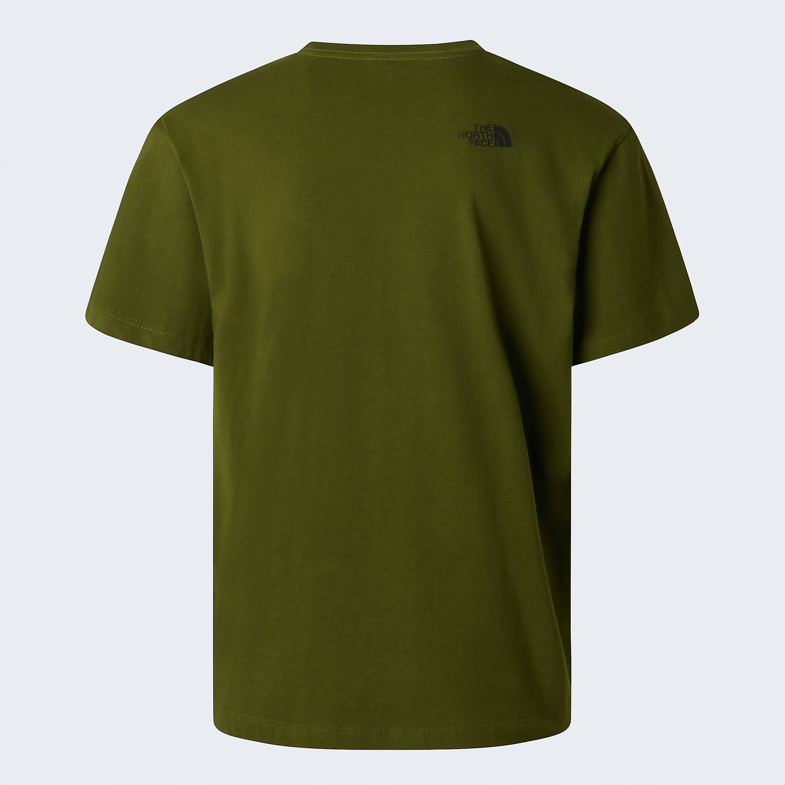 Tshirt Mountain Logo Relaxed con grafica da uomo TNF ALT21