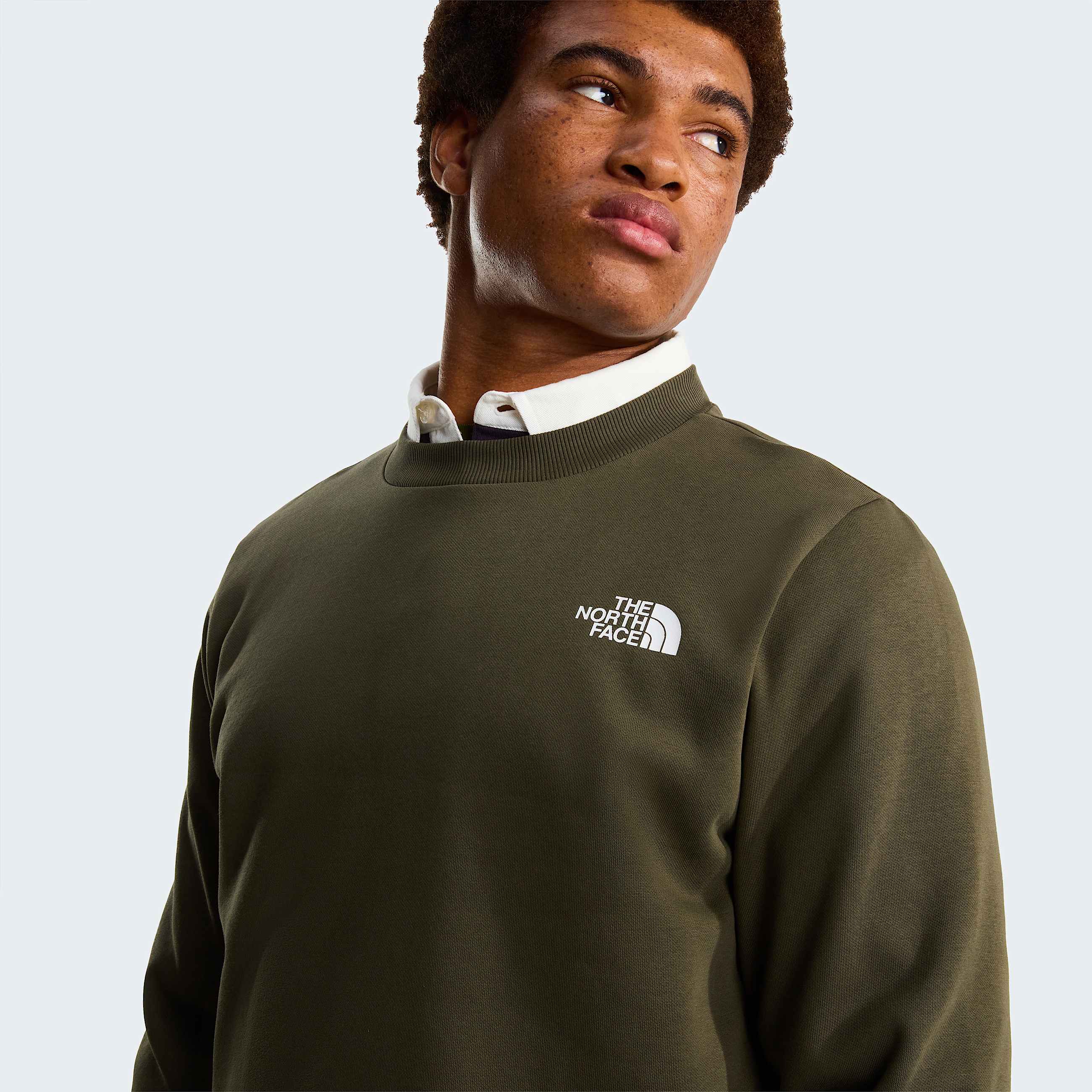 Felpa Simple Dome da uomo TNF New Taupe Green ALT4