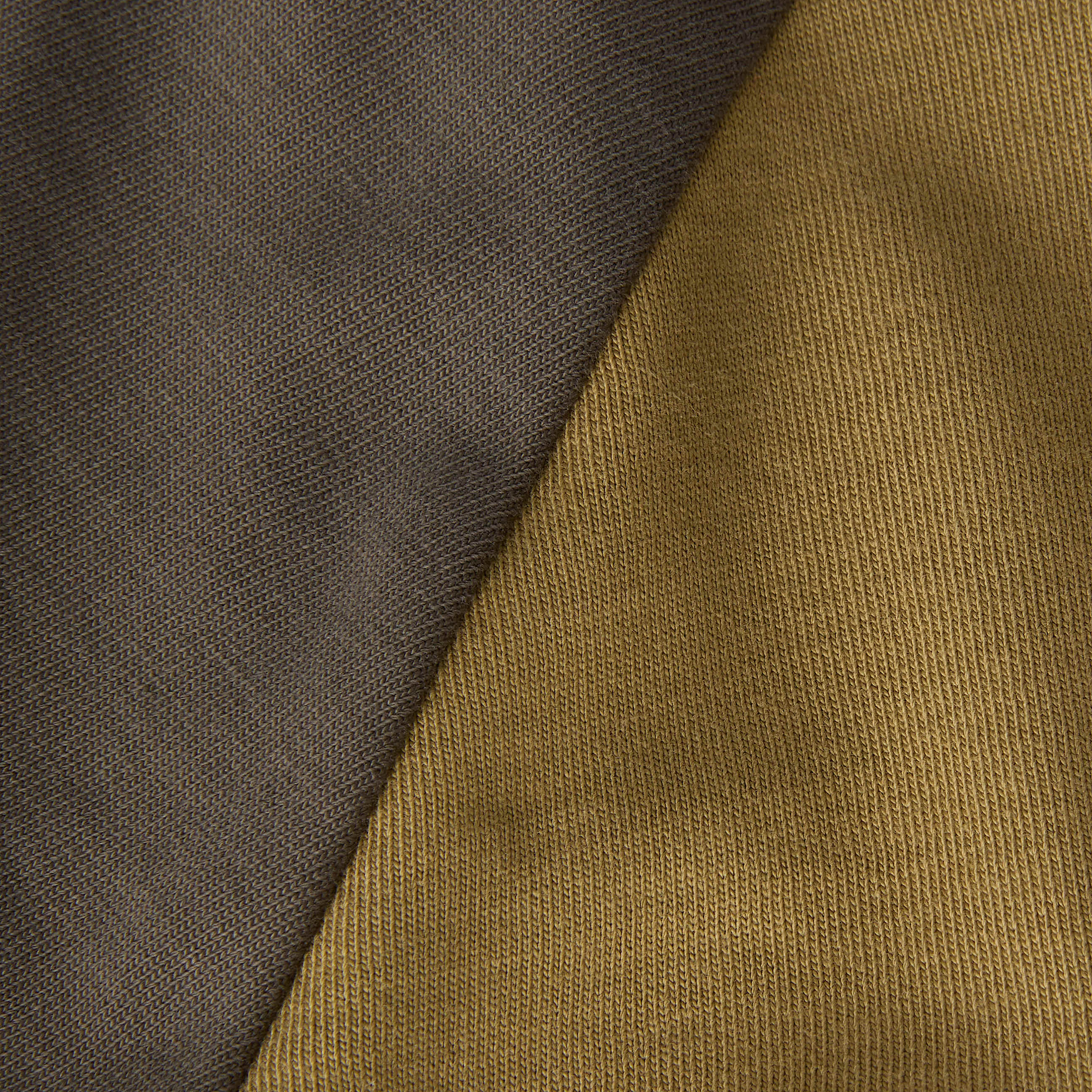 Rugby PoloShirt in Unisex TNF CedarNew Taupe Green ALT18