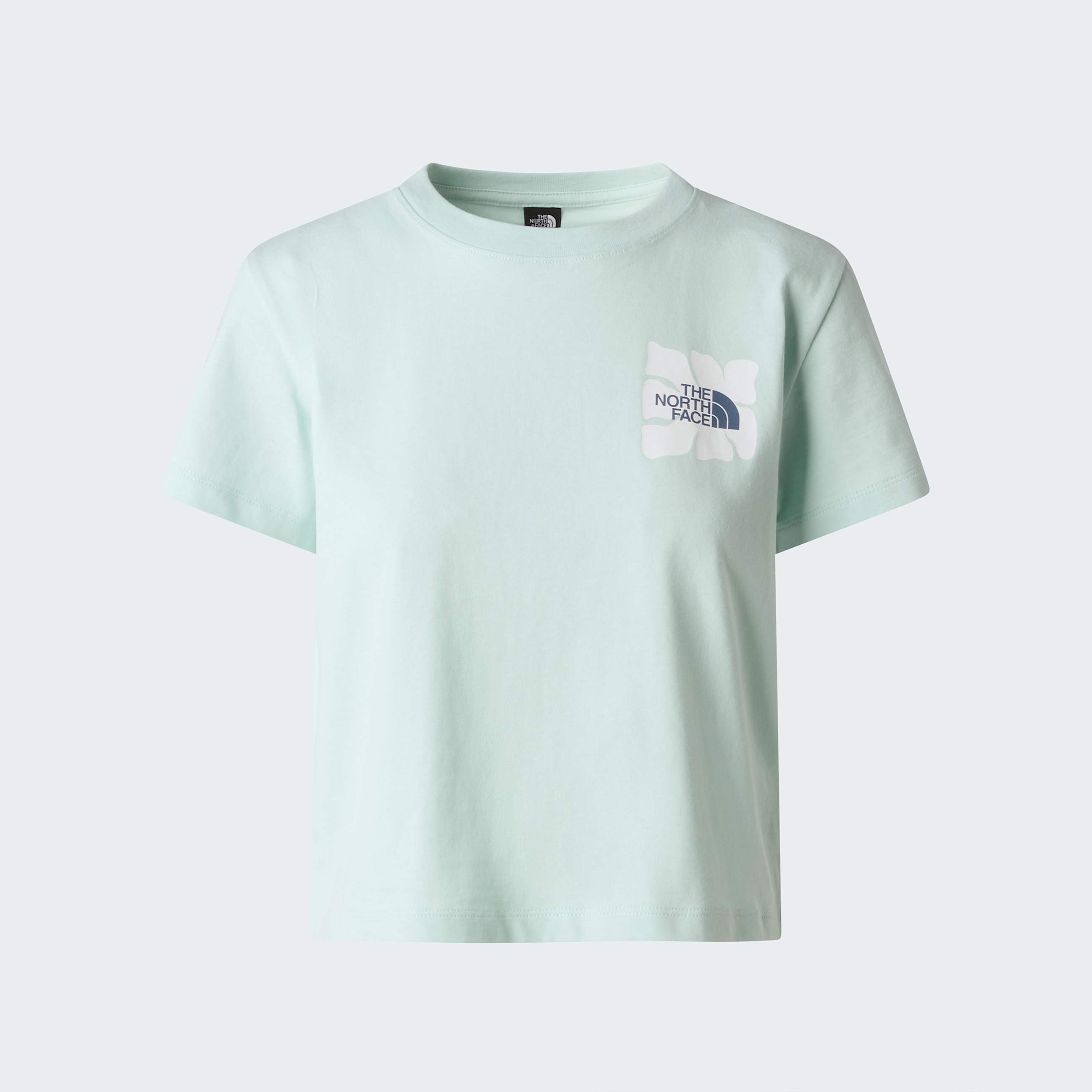 Womens Sun Regular Graphic TShirt TNF Opal Frost ALT20