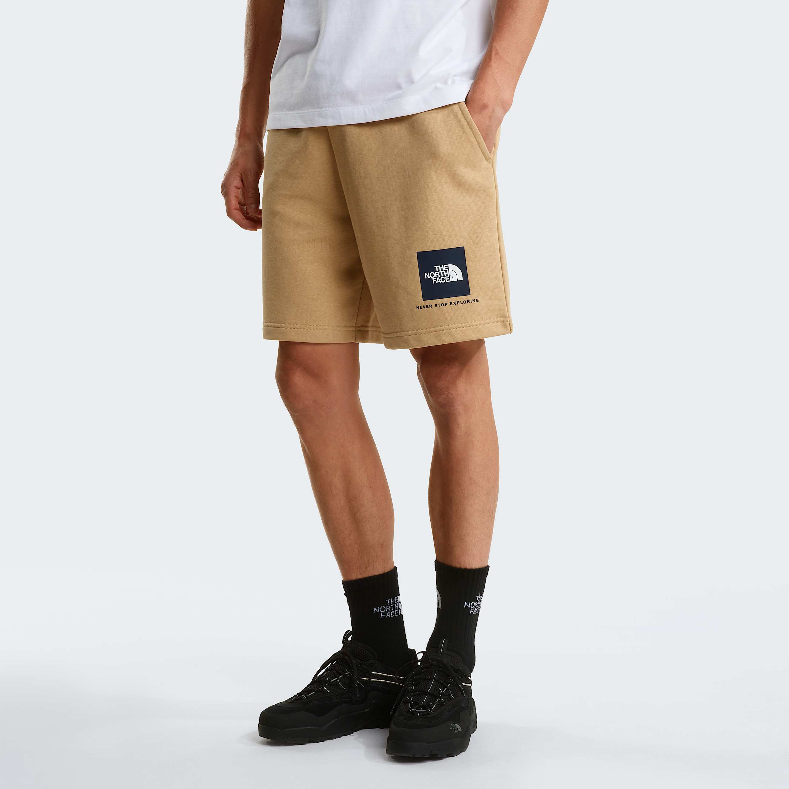 Mens NSE Box Light Regular Shorts TNF Khaki Stone HERO