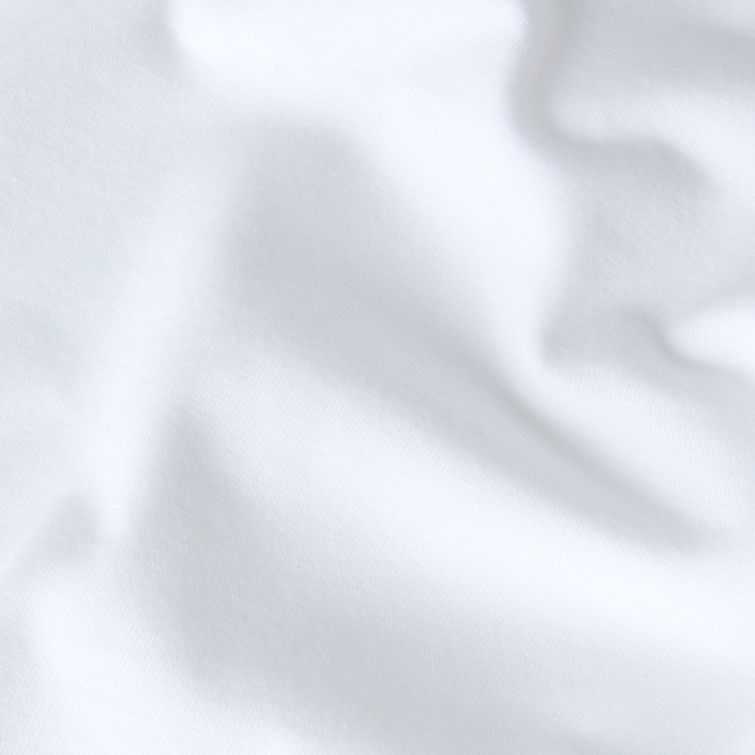 Mens Evolution Box Half Dome Regular TShirt TNF TNF White ALT18