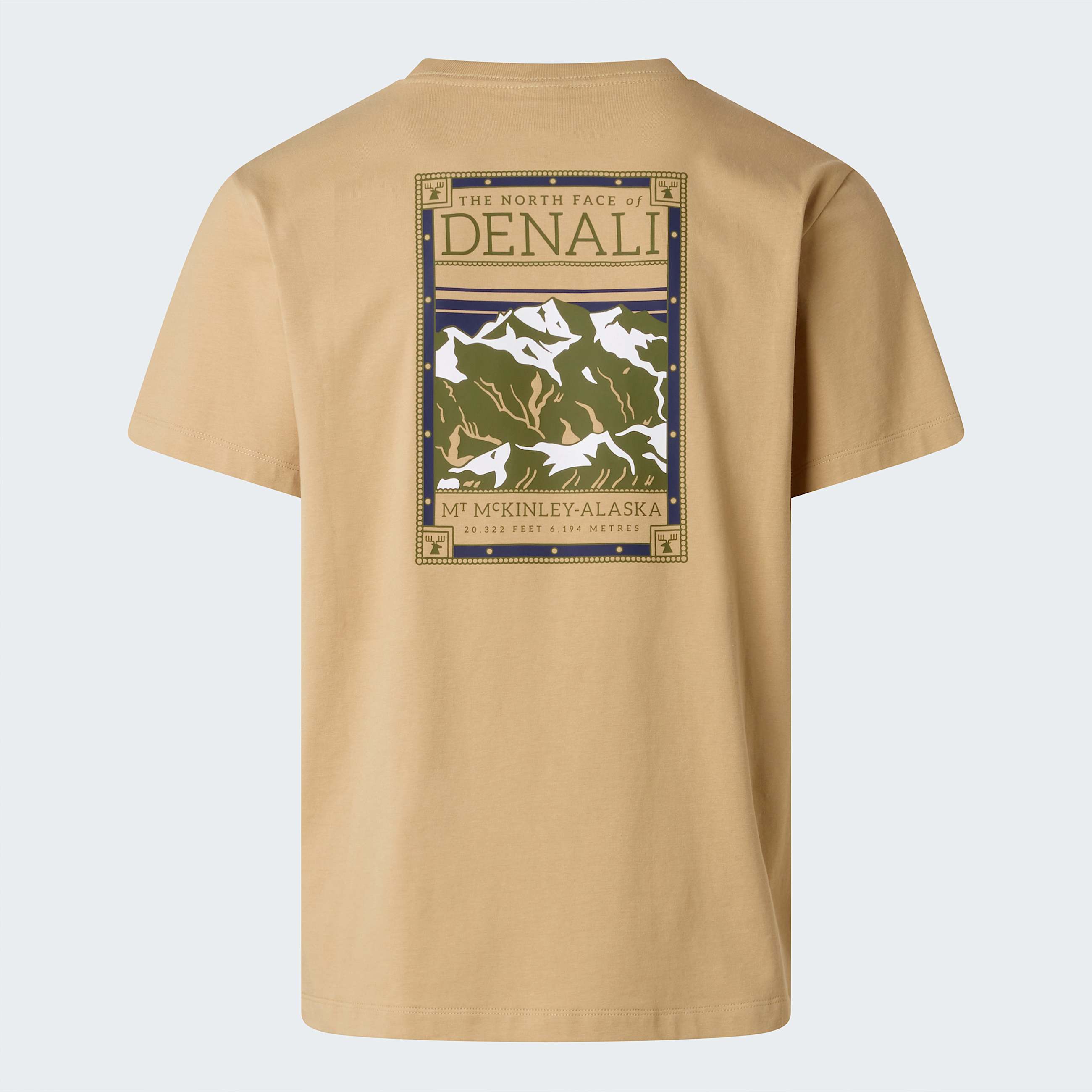 North Faces Regular Graphic TShirt M TNF Khaki Stone ALT21