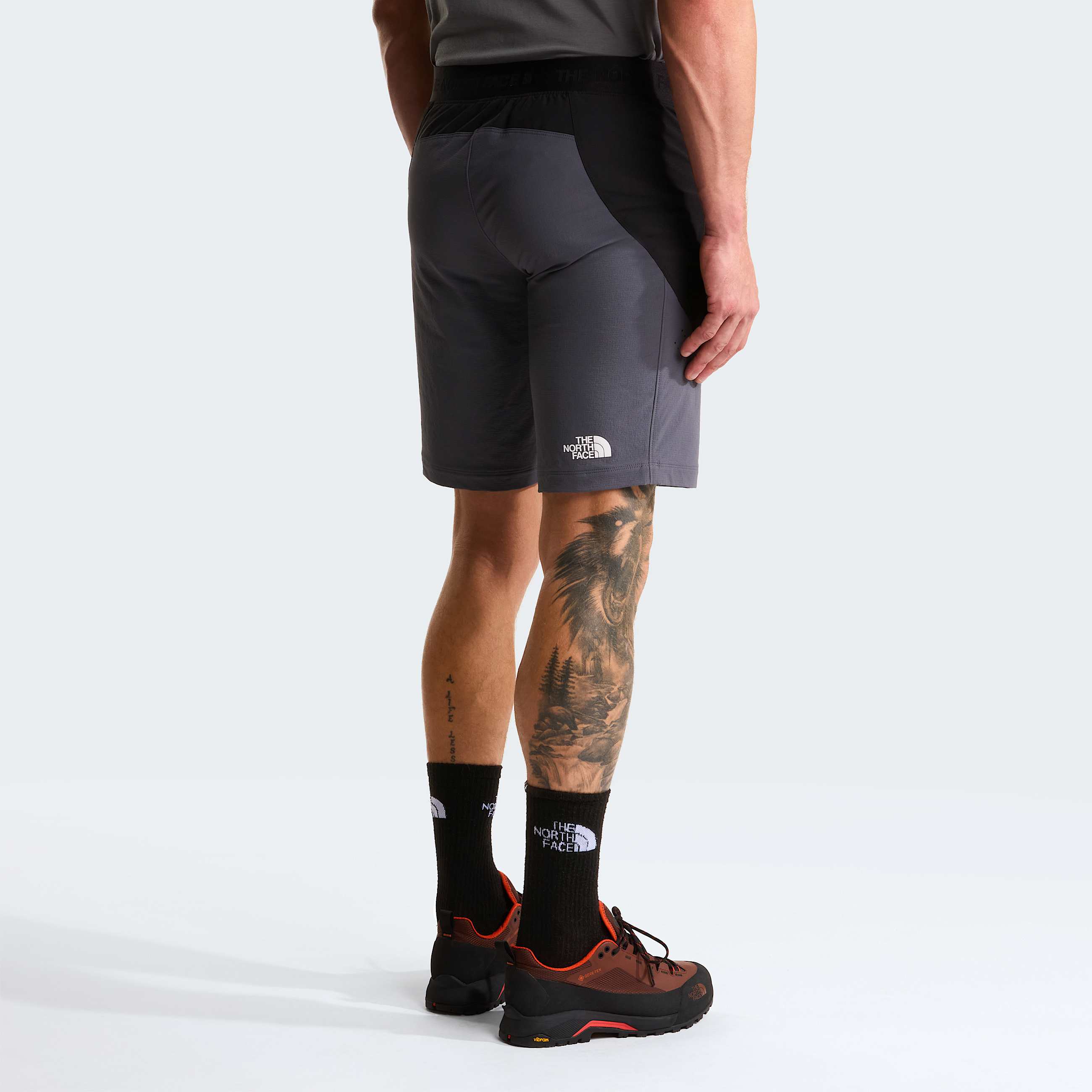 Mskie szorty Circadian Alpine TNF ALT3