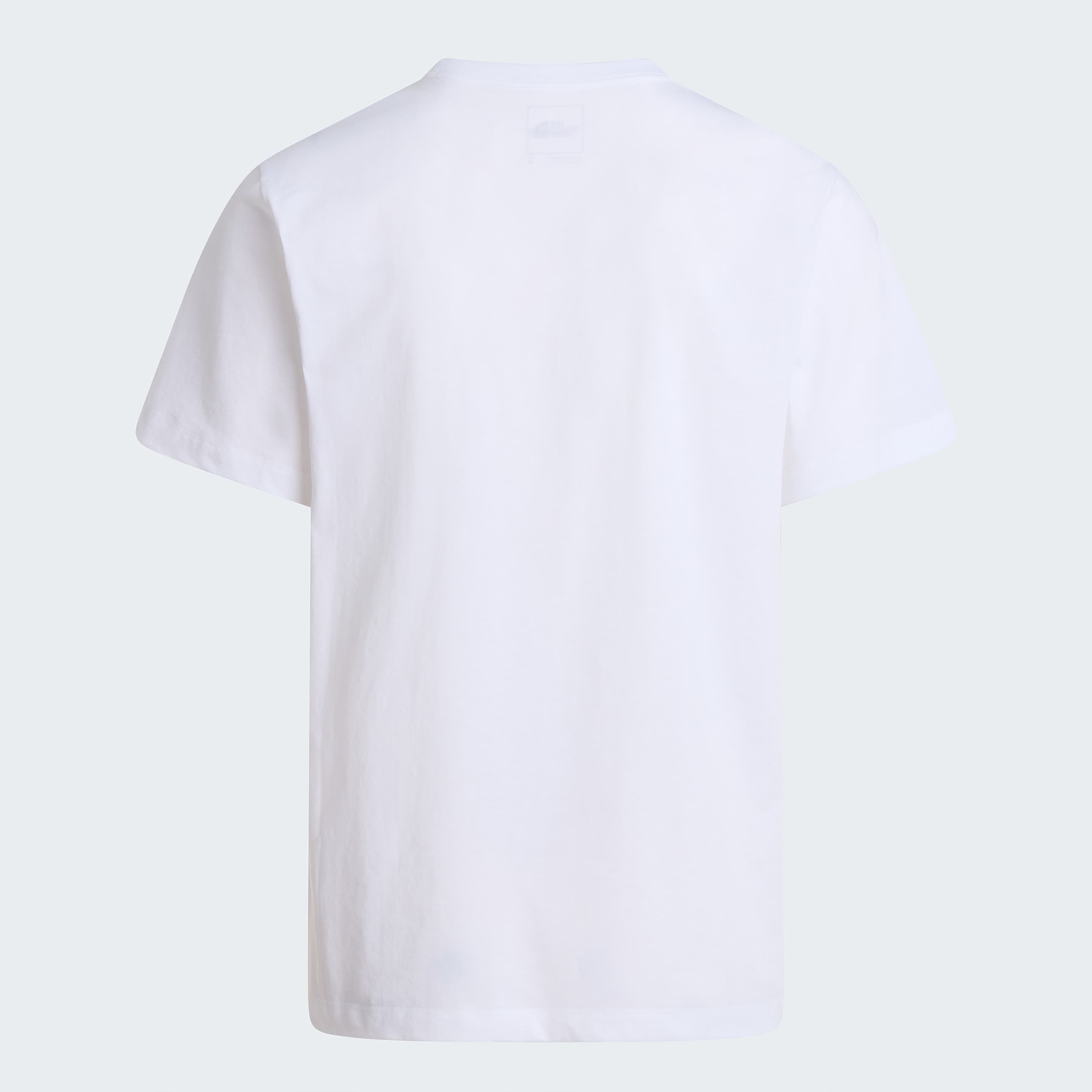 Mens Evolution Simple Dome Regular TShirt TNF TNF White ALT21