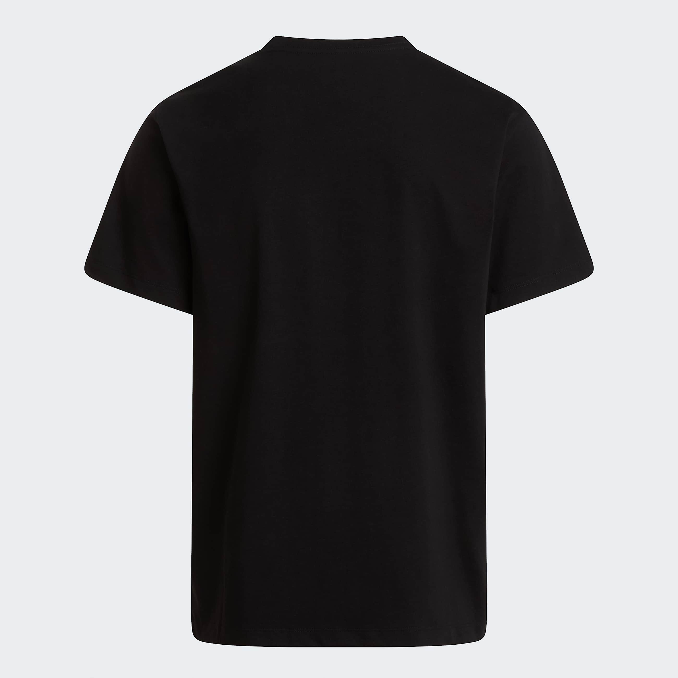 Mens Evolution Simple Dome Regular TShirt TNF TNF Black ALT21