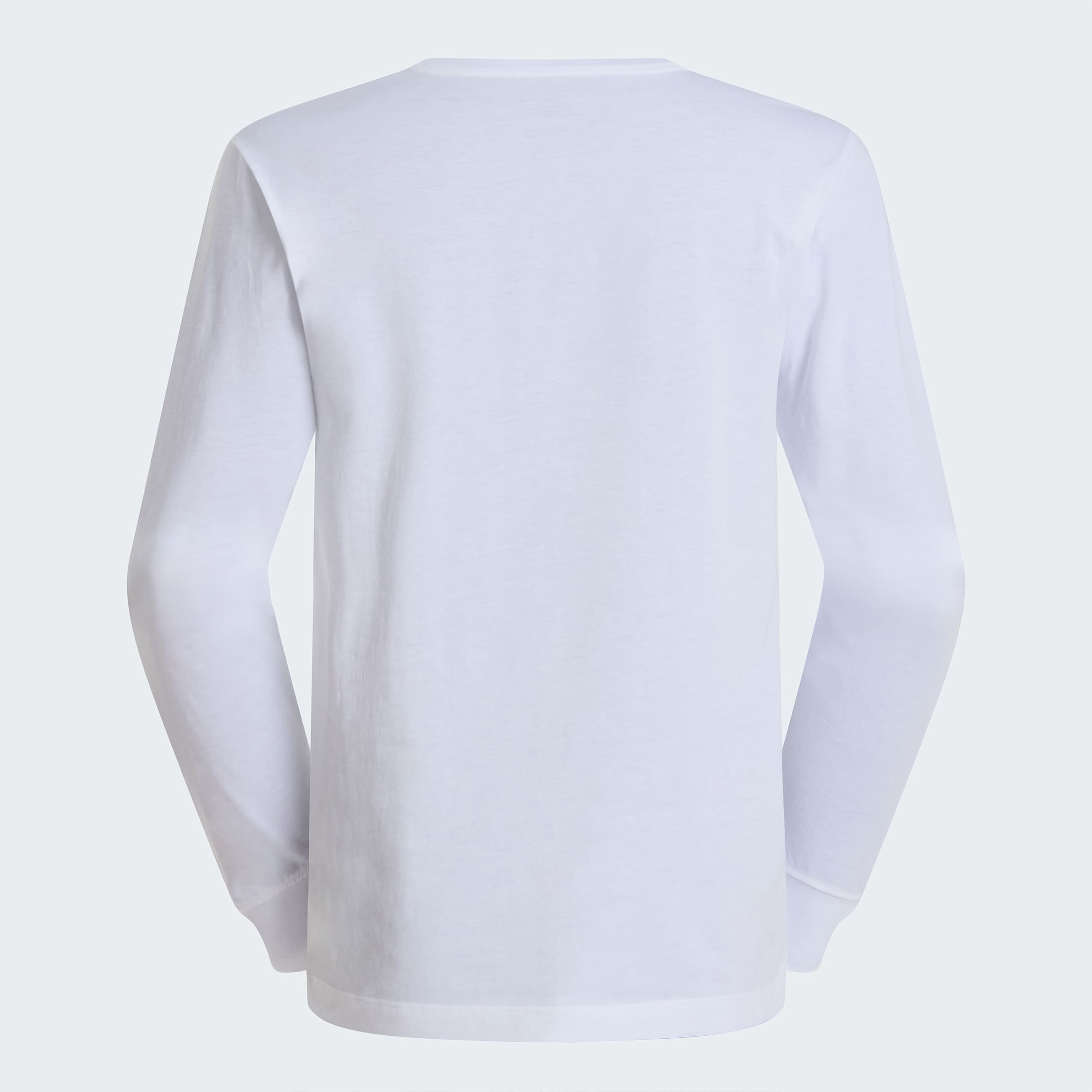 Tshirt a maniche lunghe Evolution Simple Dome Regular da uomo TNF ALT21