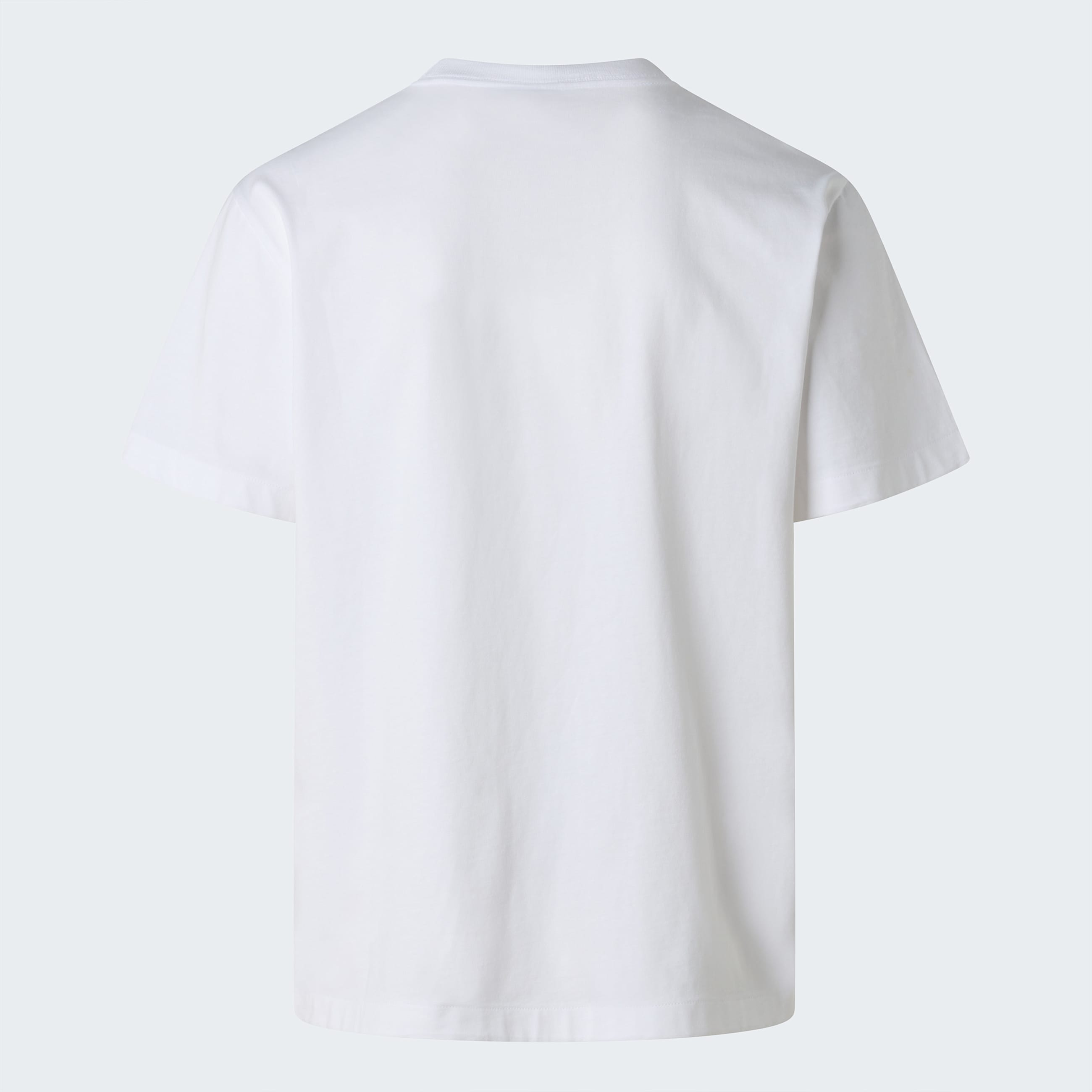 Tshirt Explorer Relaxed Graphic da uomo TNF ALT21