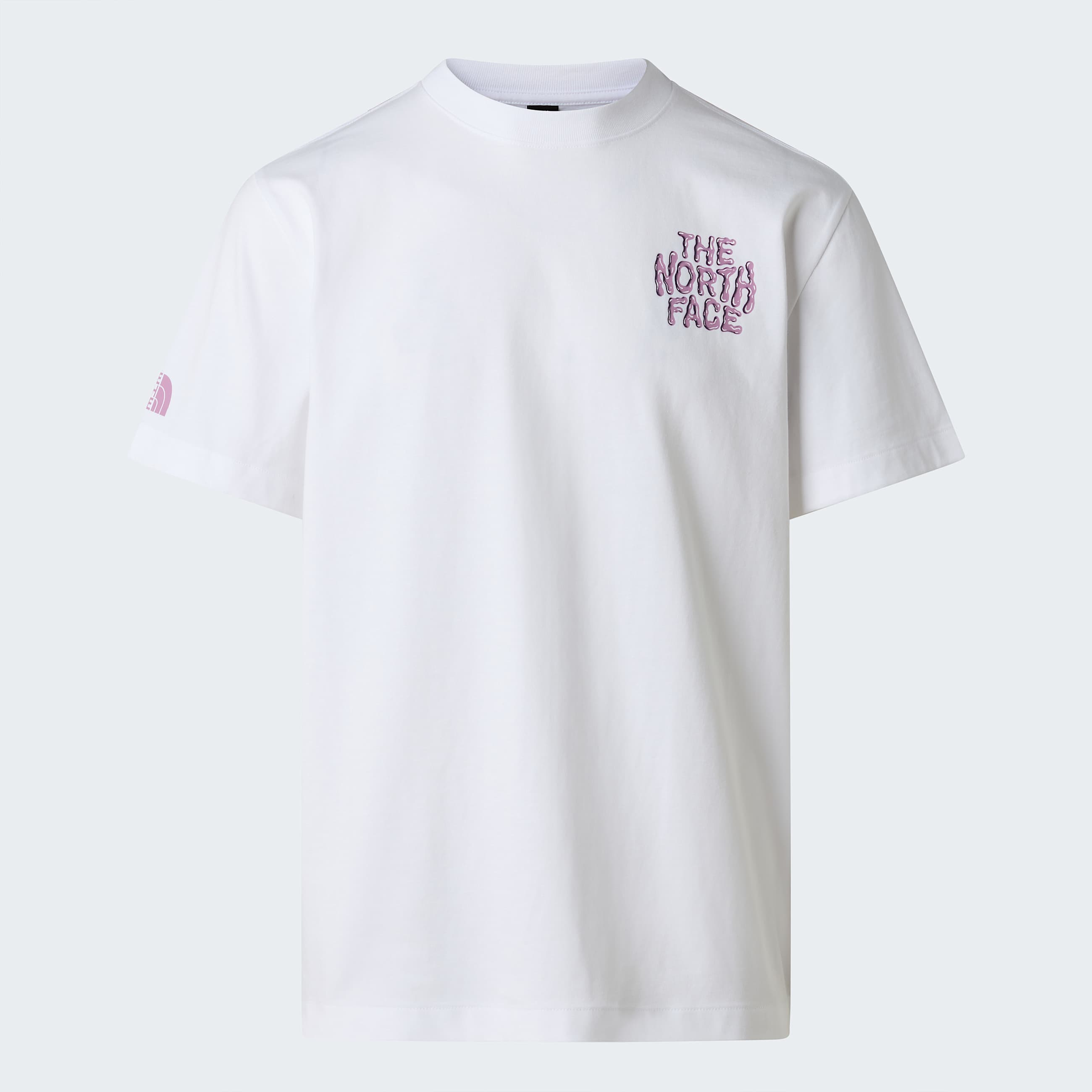 Tshirt Drip Logo Relaxed con grafica da uomo TNF ALT20