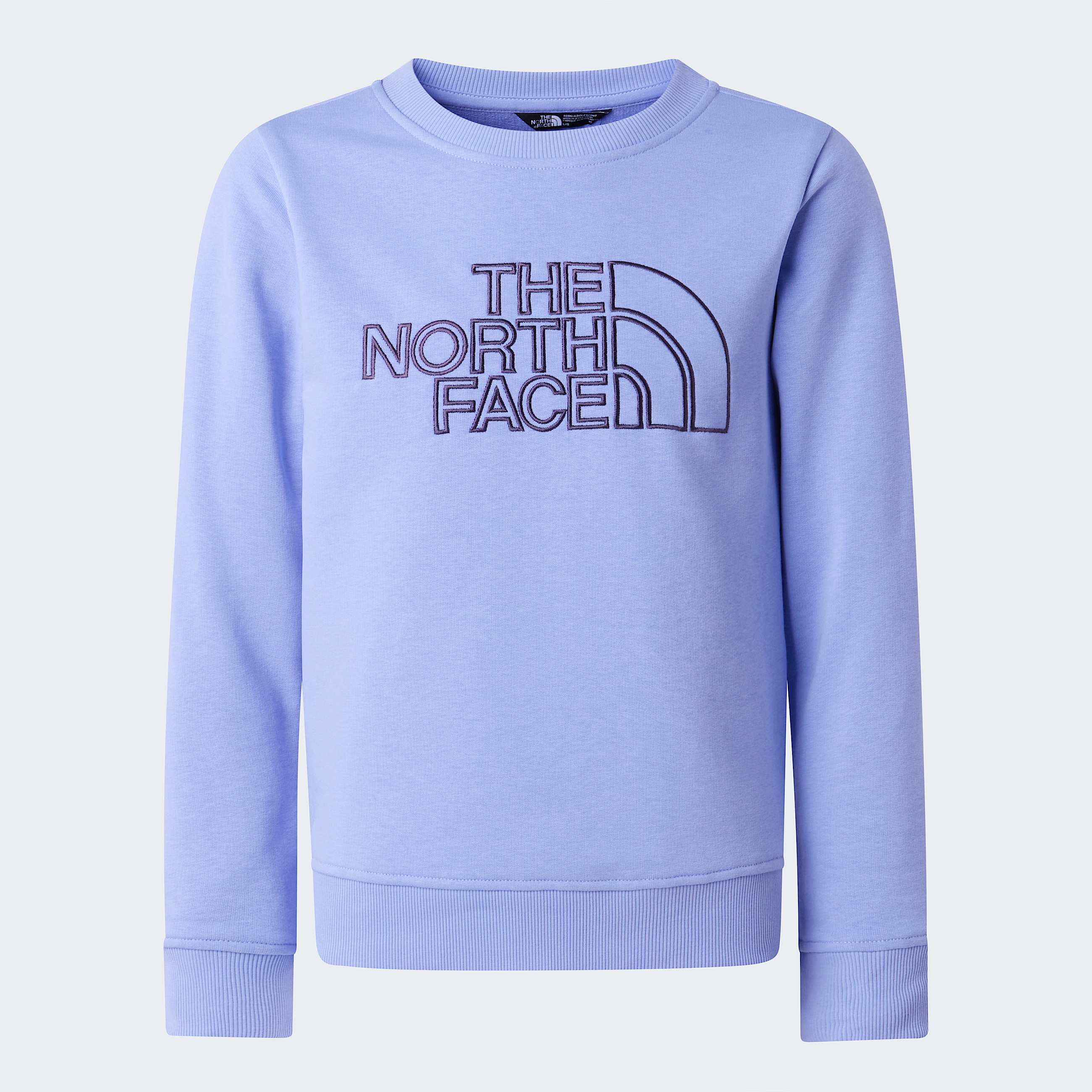 Teens Drew Peak Crew Neck Sweatshirt TNF Periwinkle Glow ALT20
