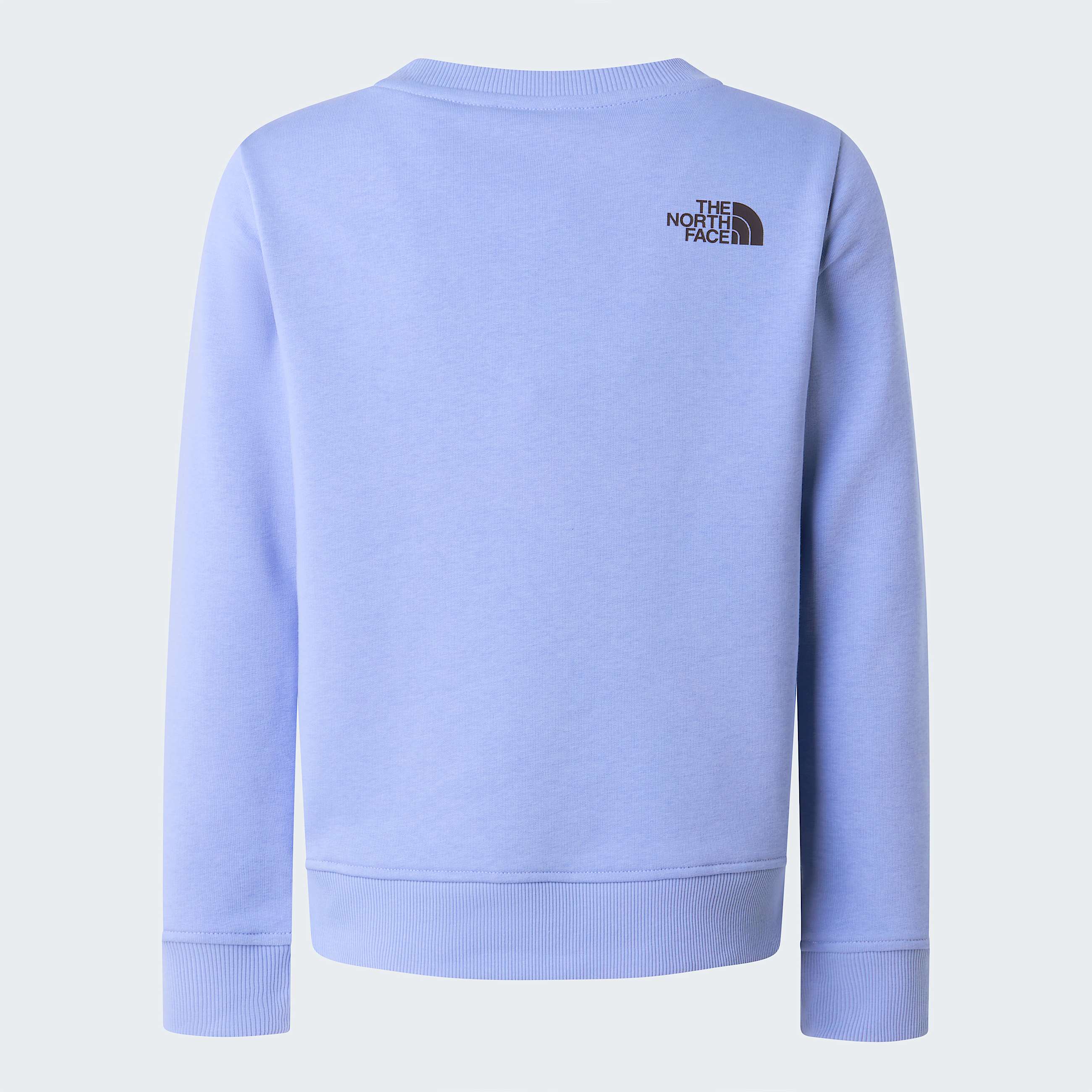 Teens Drew Peak Crew Neck Sweatshirt TNF Periwinkle Glow ALT21