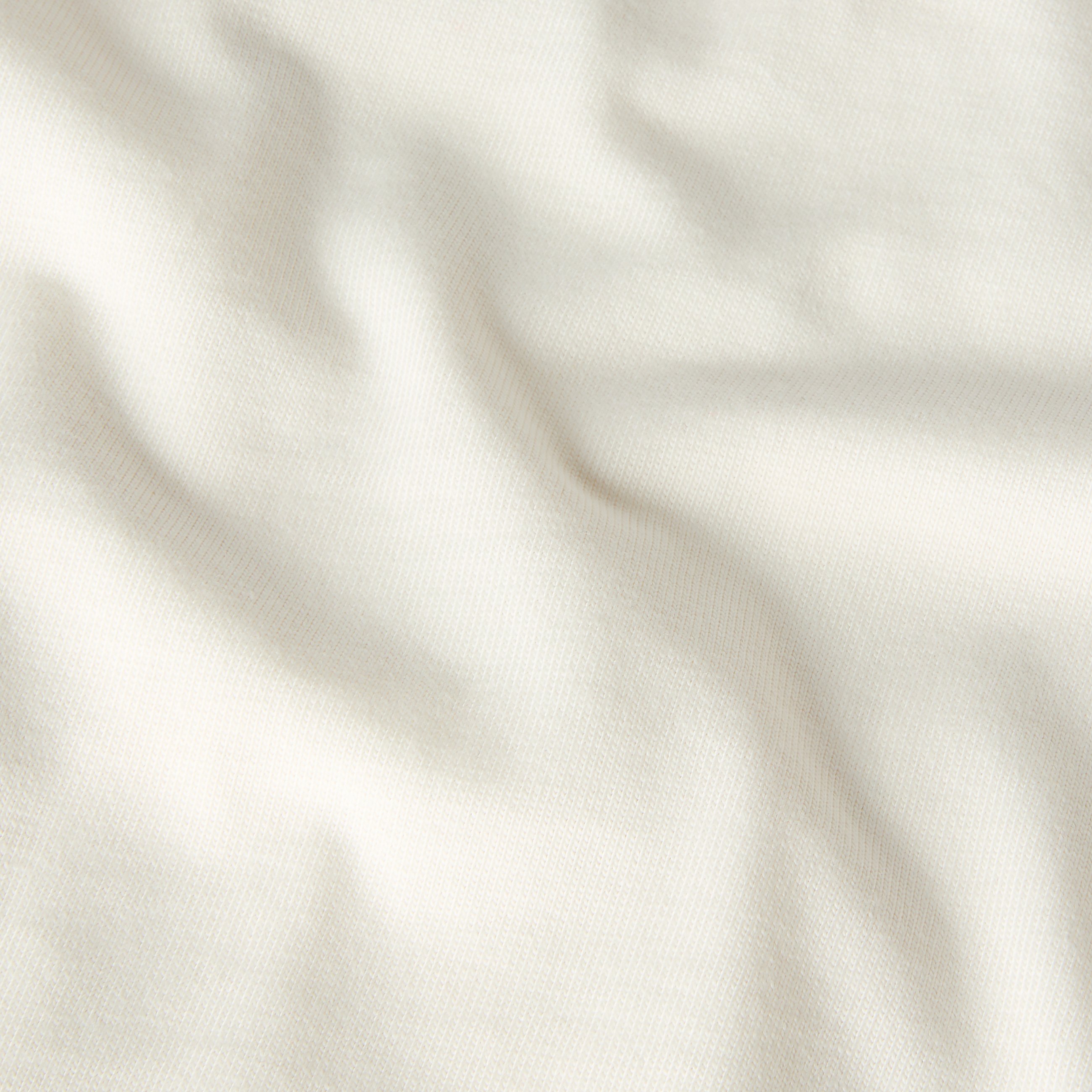 Mens Retro Earth Relaxed Graphic TShirt TNF ALT18