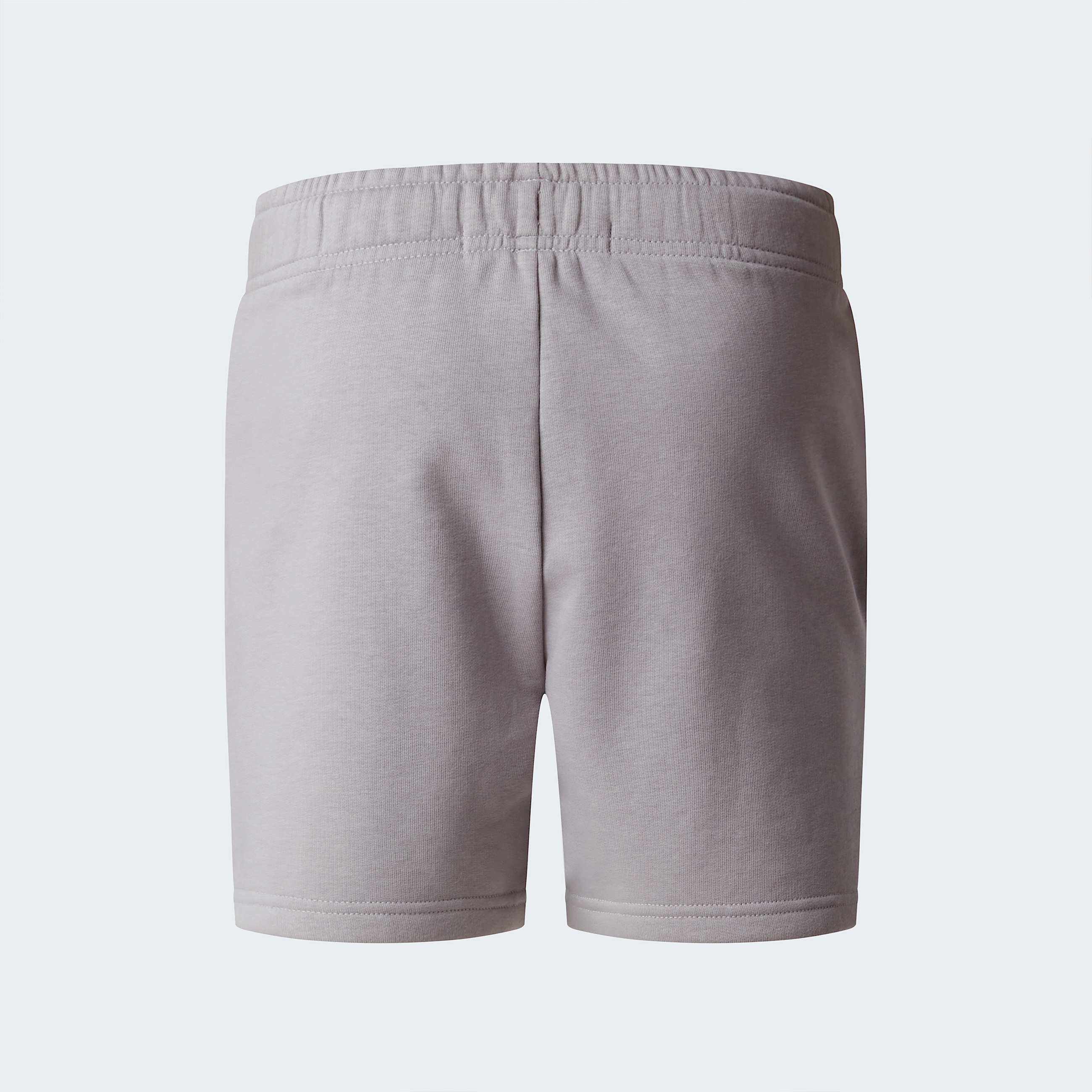 Teens Simple Dome Light Regular Shorts TNF Meld Grey ALT21
