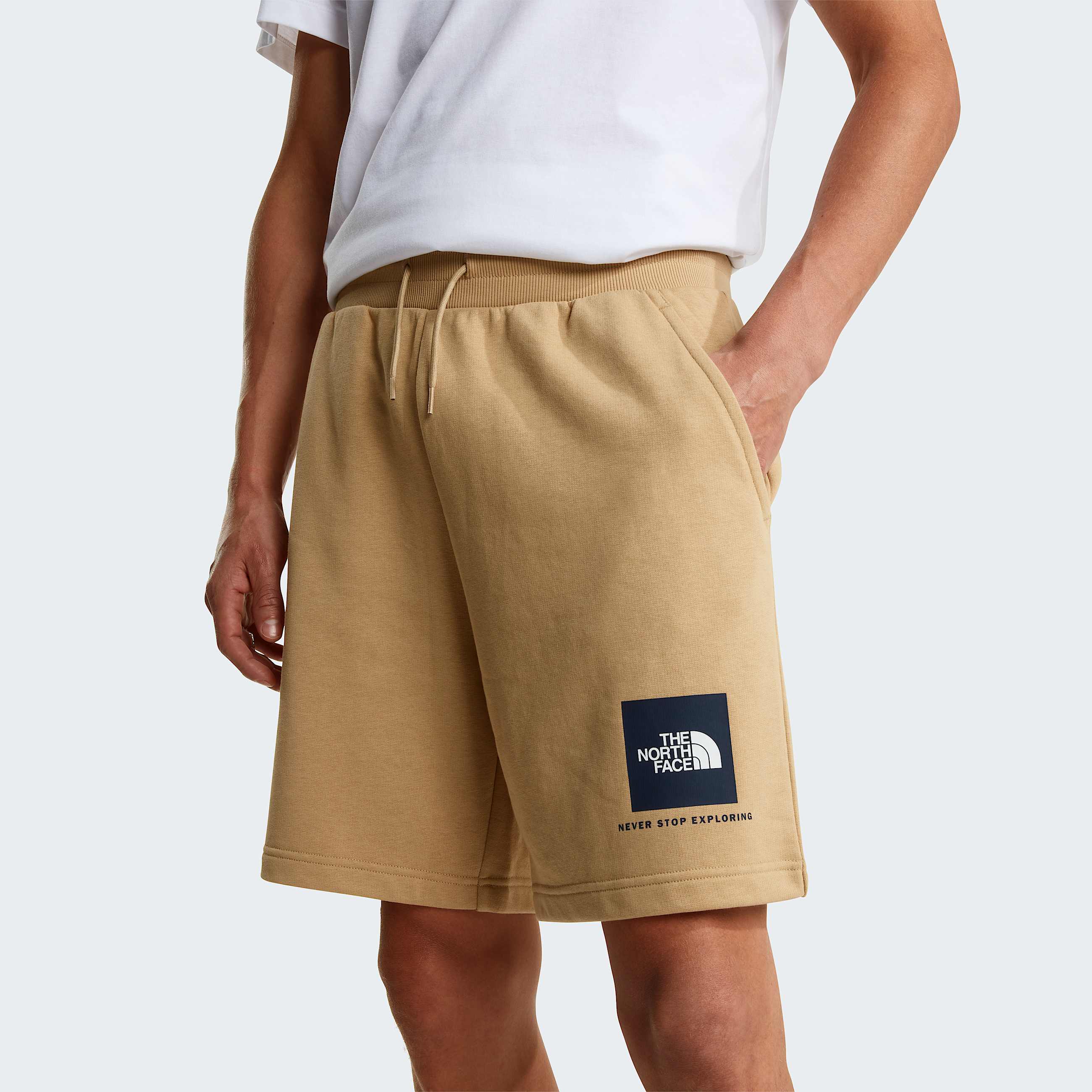 Mens NSE Box Light Regular Shorts TNF Khaki Stone ALT4