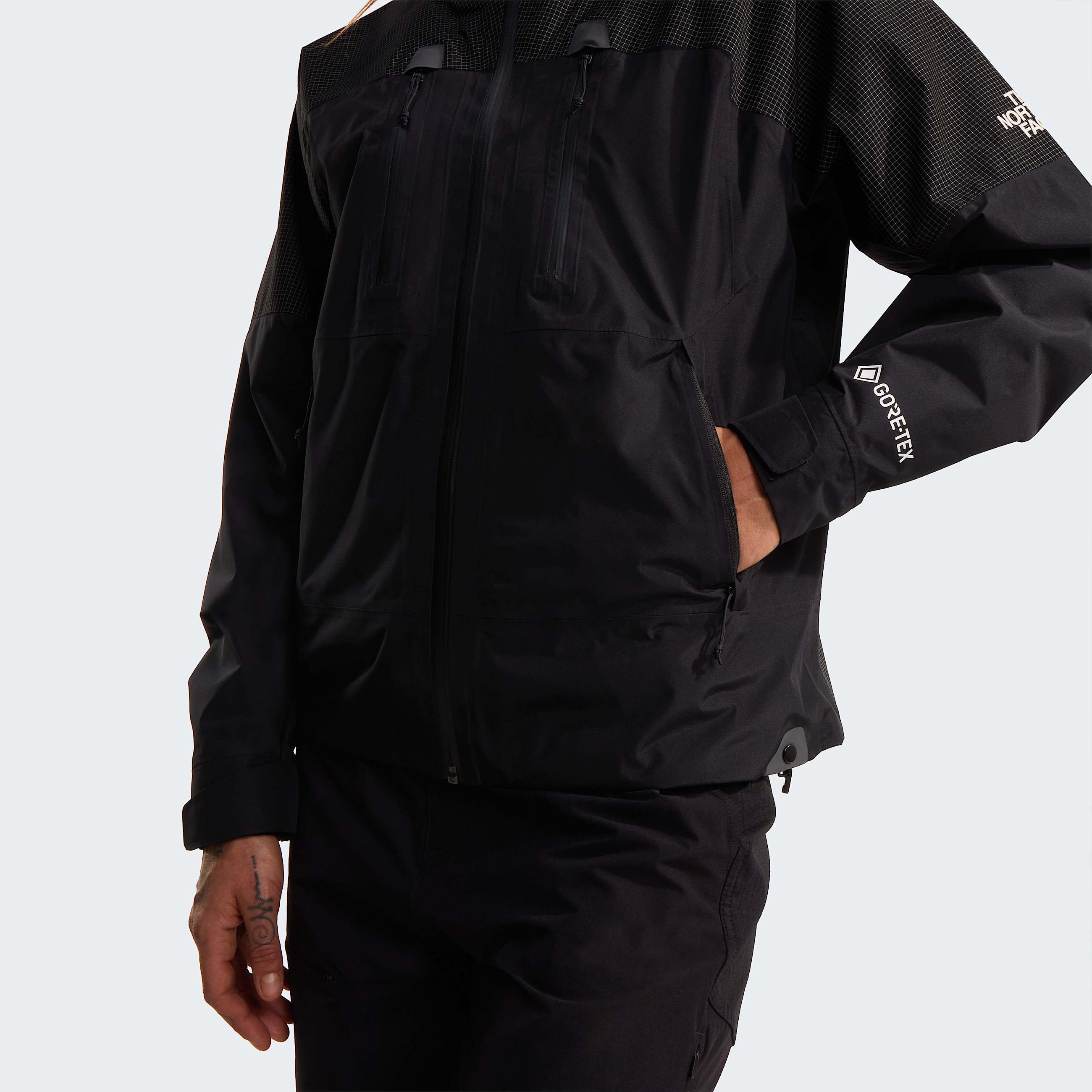 Womens Hike Devils Thumb GORETEX Jacket TNF ALT8