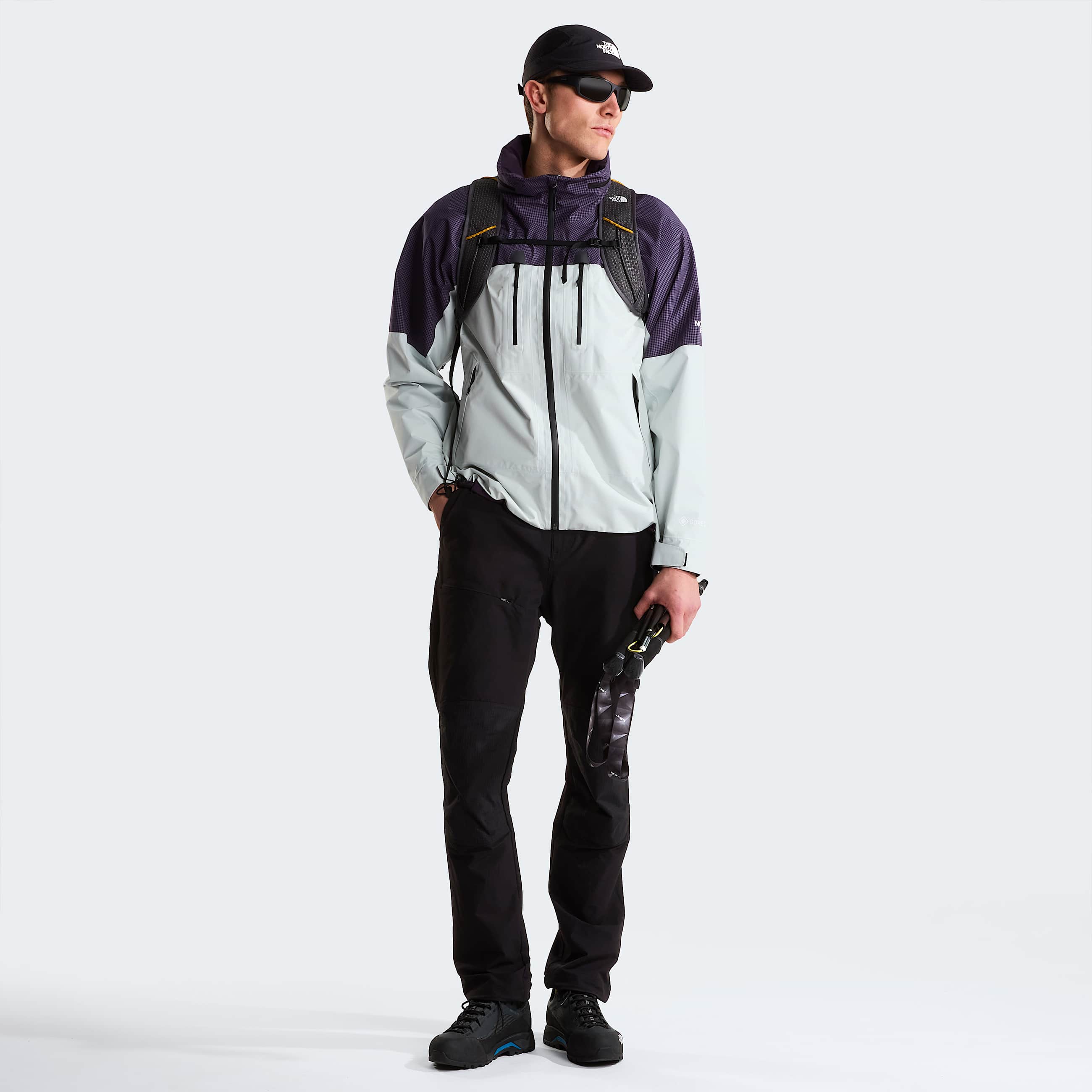 Mens Hike Devils Thumb GORETEX Jacket TNF Pearl StoneEndless Dusk ALT1
