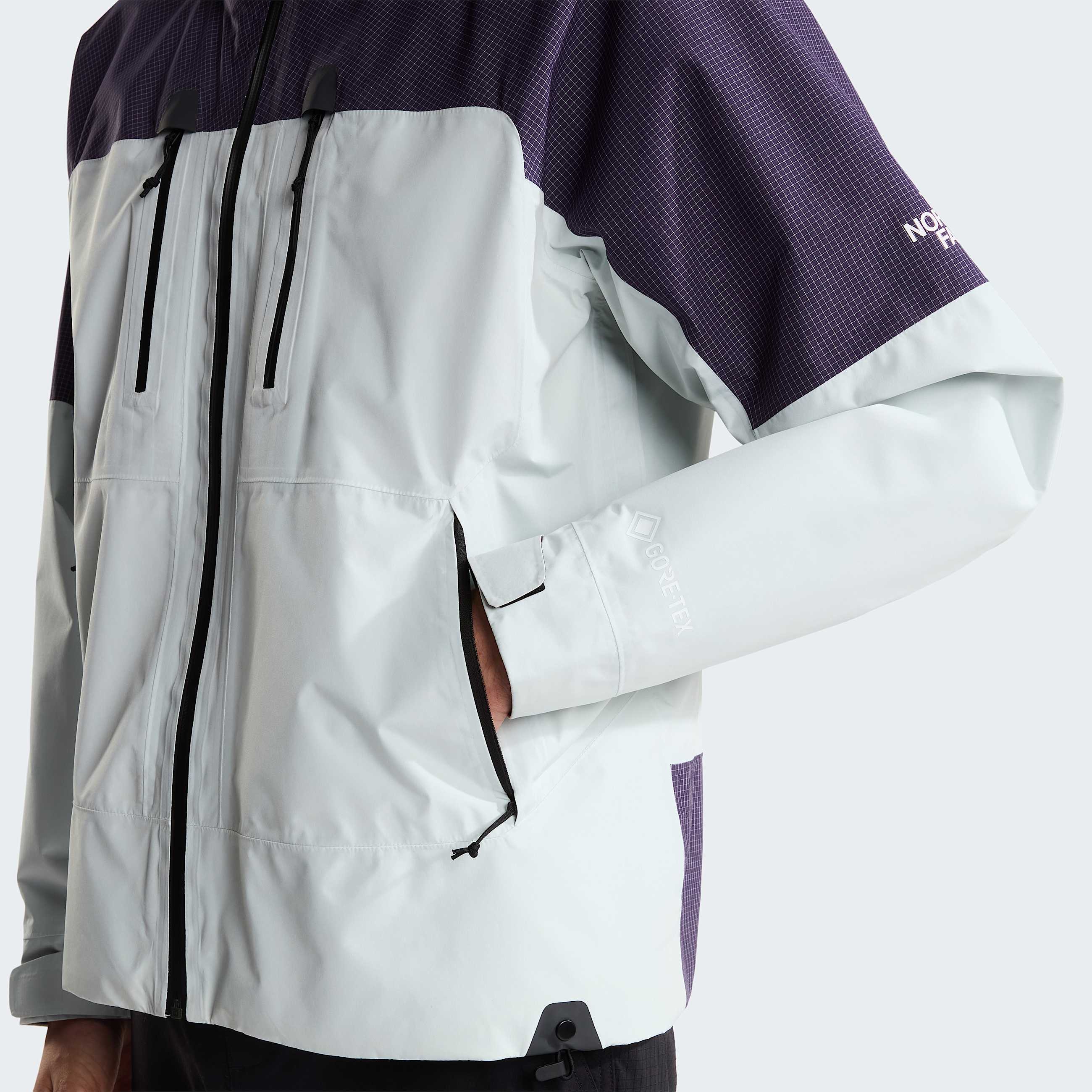 Mens Hike Devils Thumb GORETEX Jacket TNF Pearl StoneEndless Dusk ALT9