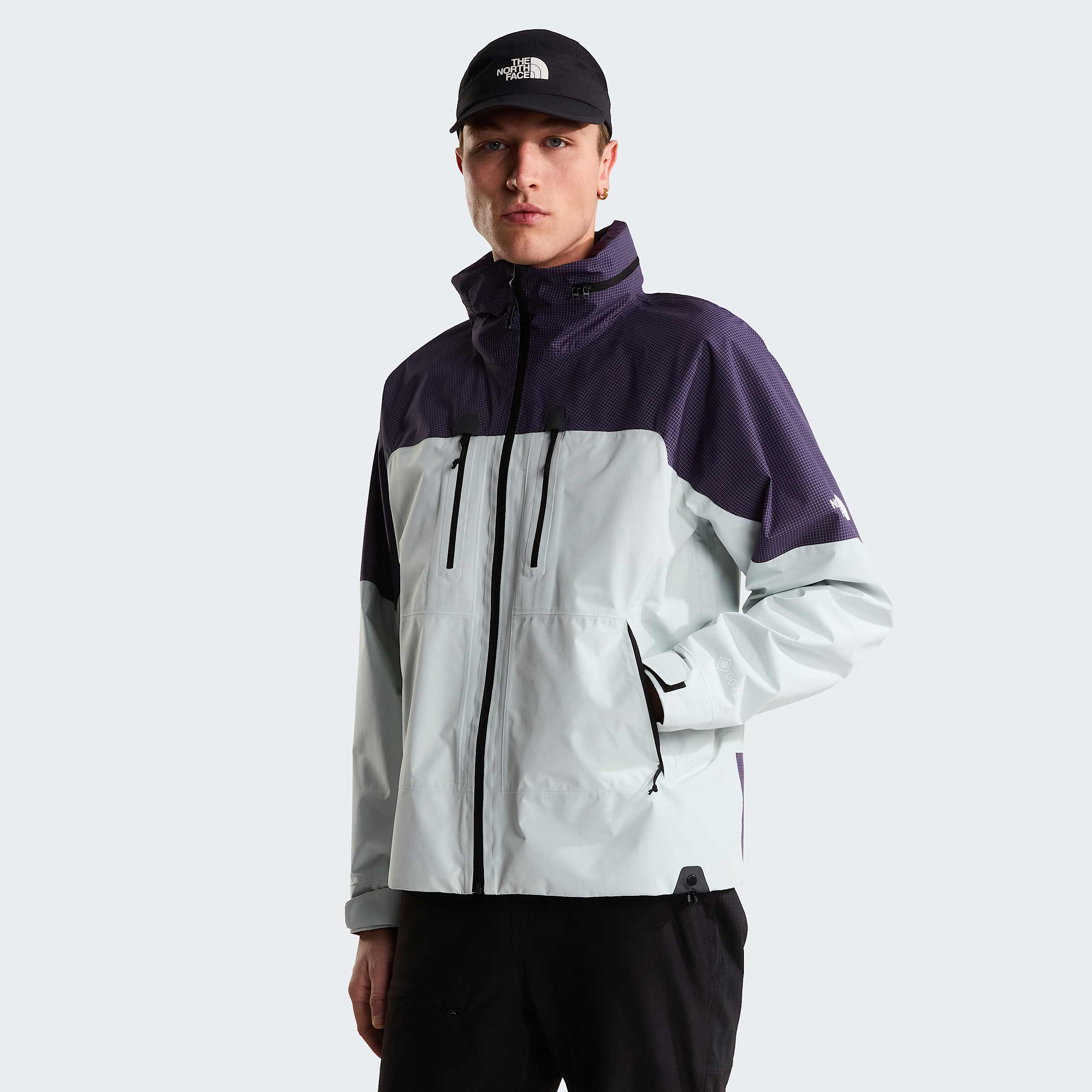 Mens Hike Devils Thumb GORETEX Jacket TNF Pearl StoneEndless Dusk HERO