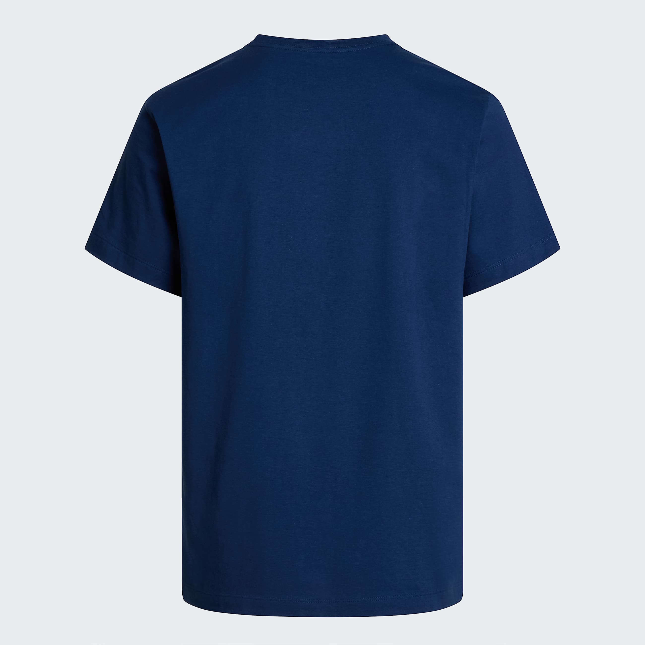 Evolution Half Dome Tshirt M TNF ALT1