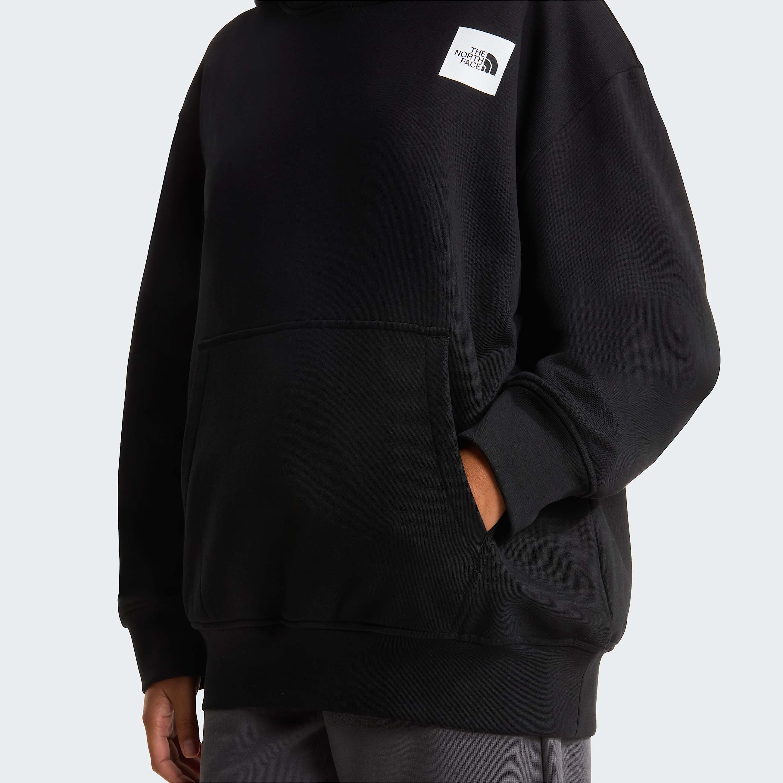 Expedition Photo Relaxed Graphic Hoodie Unisex TNF ALT16