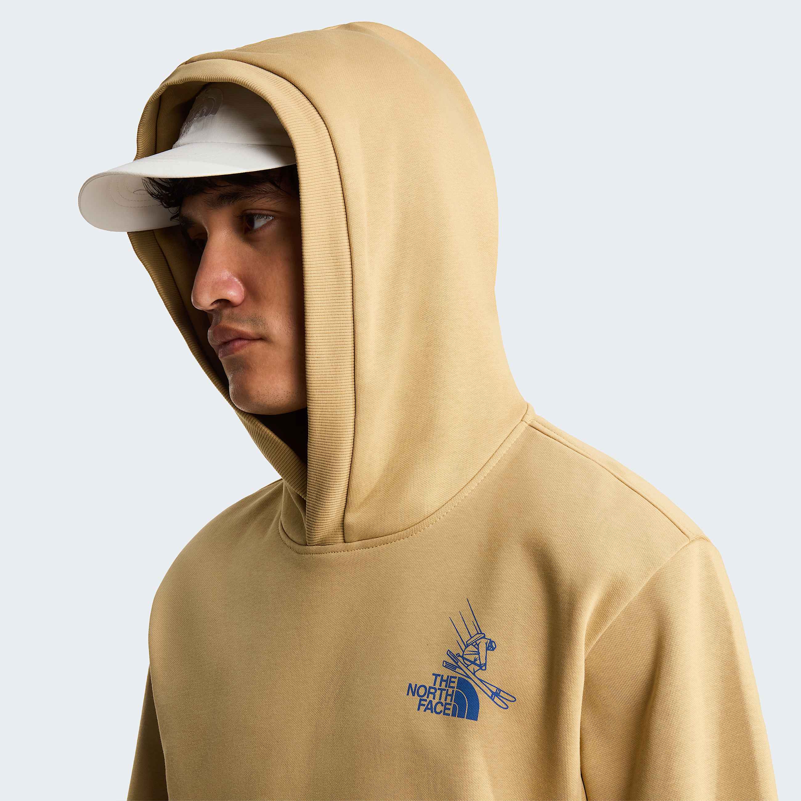 Mountain Celebration Avslappnad Grafisk Hoodie Unisex TNF ALT6