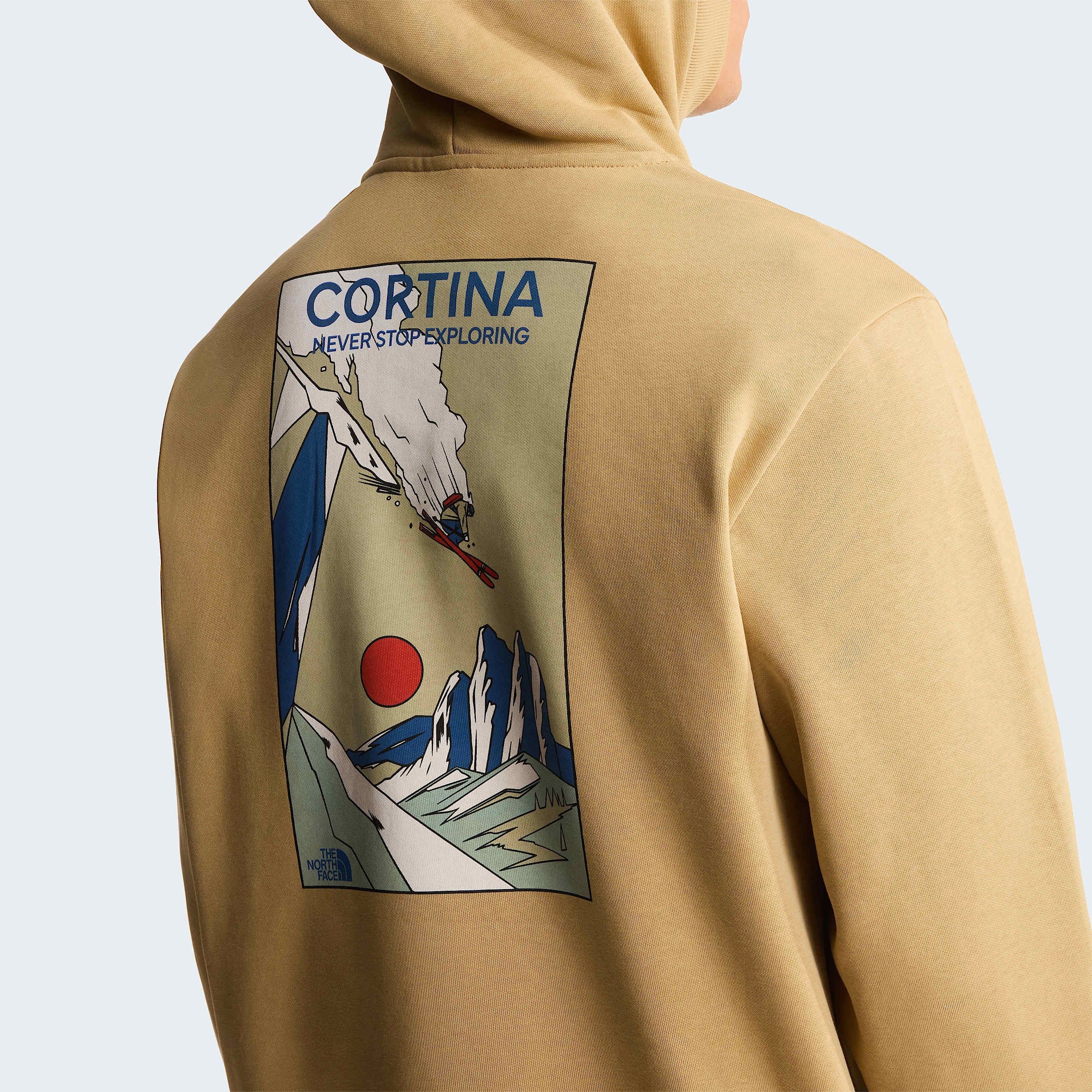 Felpa con cappuccio Mountain Celebration Relaxed con grafica unisex TNF ALT7